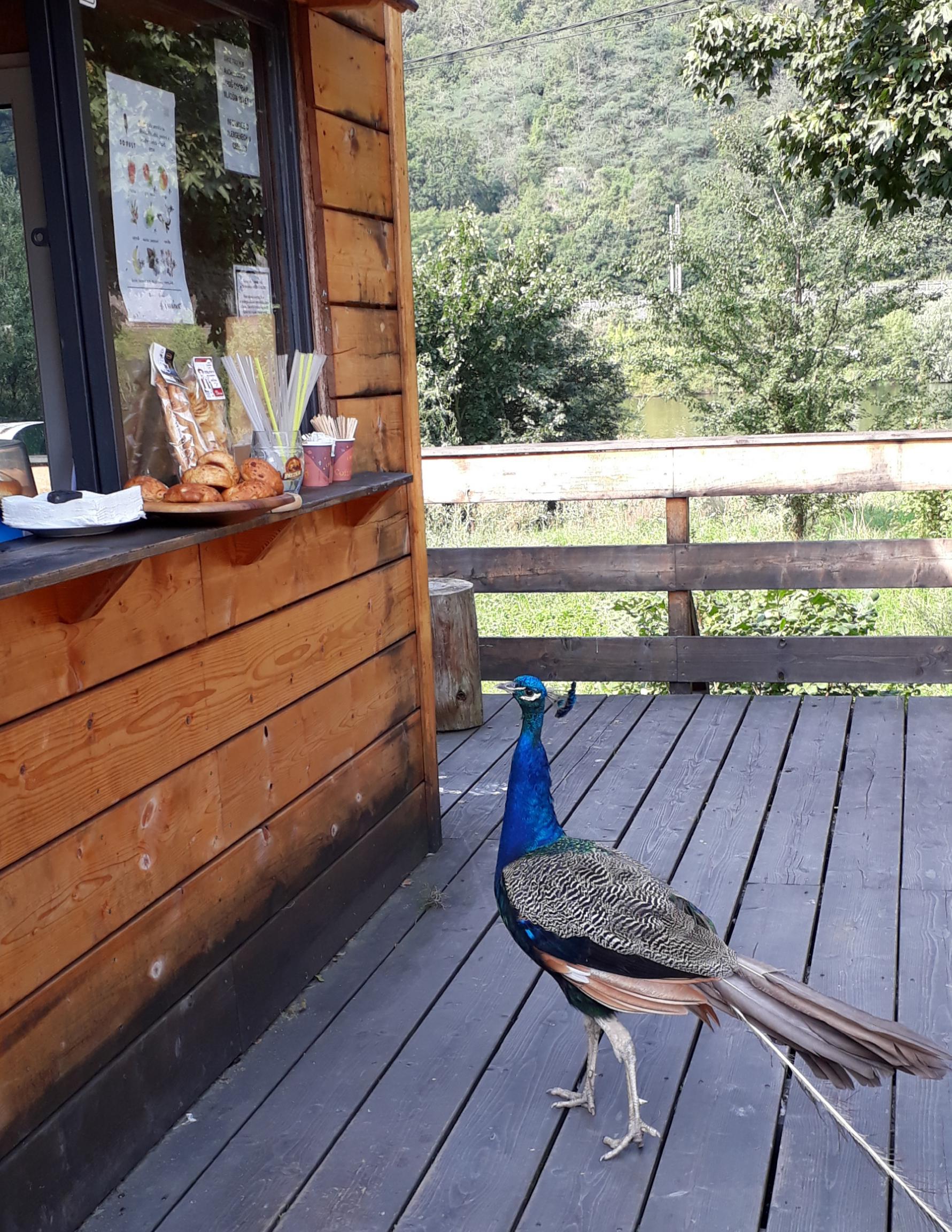 V ohbí řeky foto 4