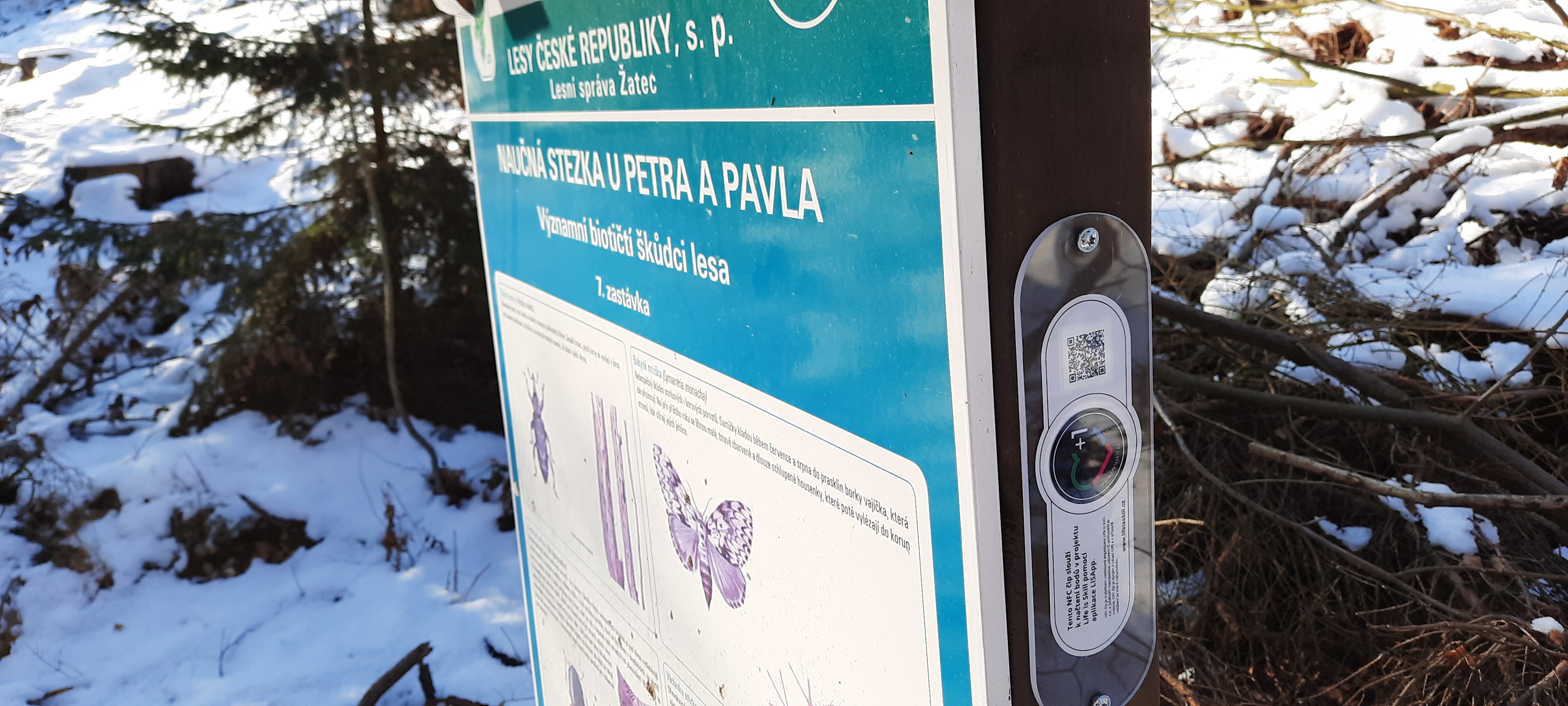 Life is skill, z. ú. foto 3