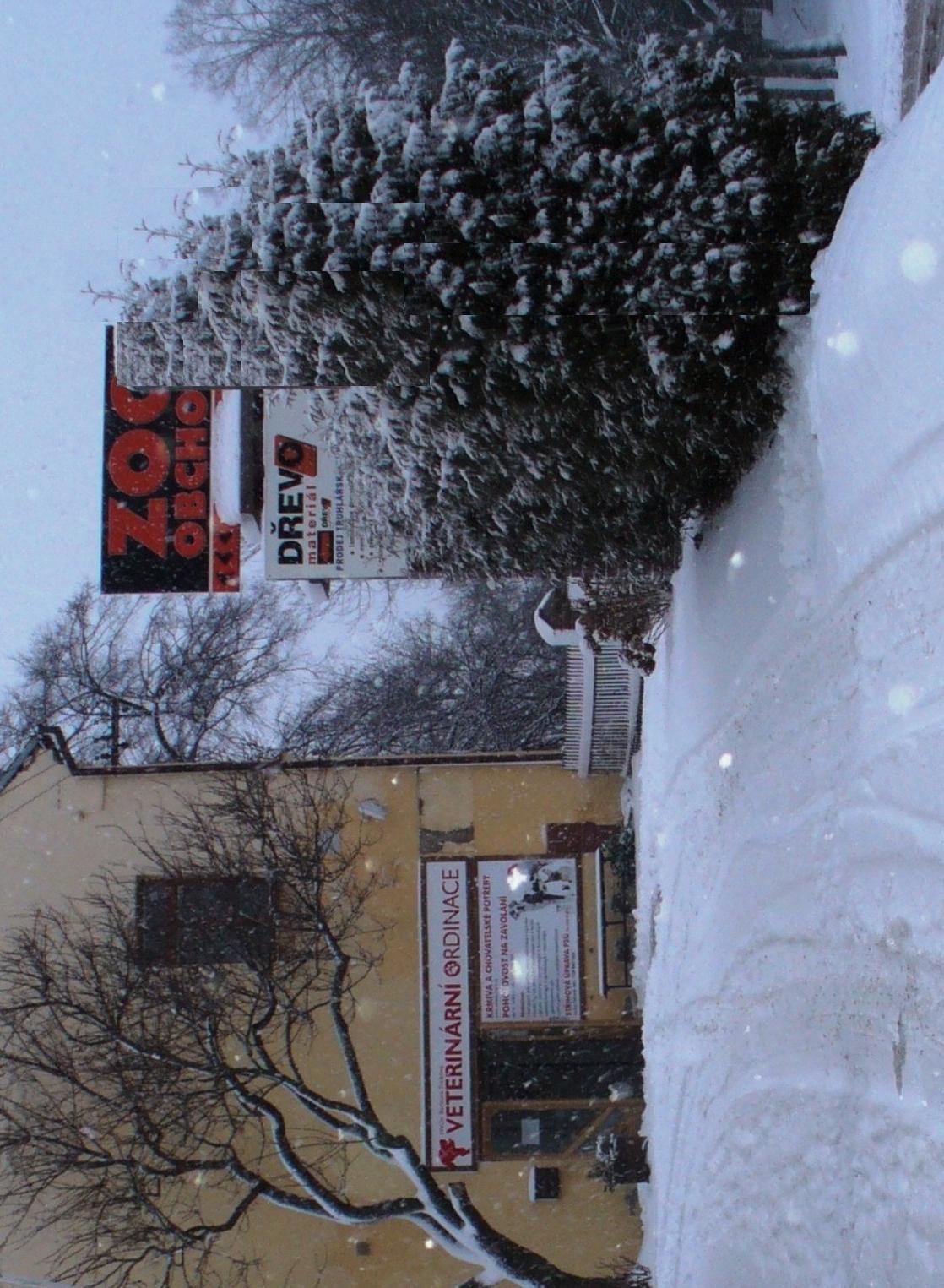 MVDr. Barbora Trtíková - Veterina Vysoké Mýto