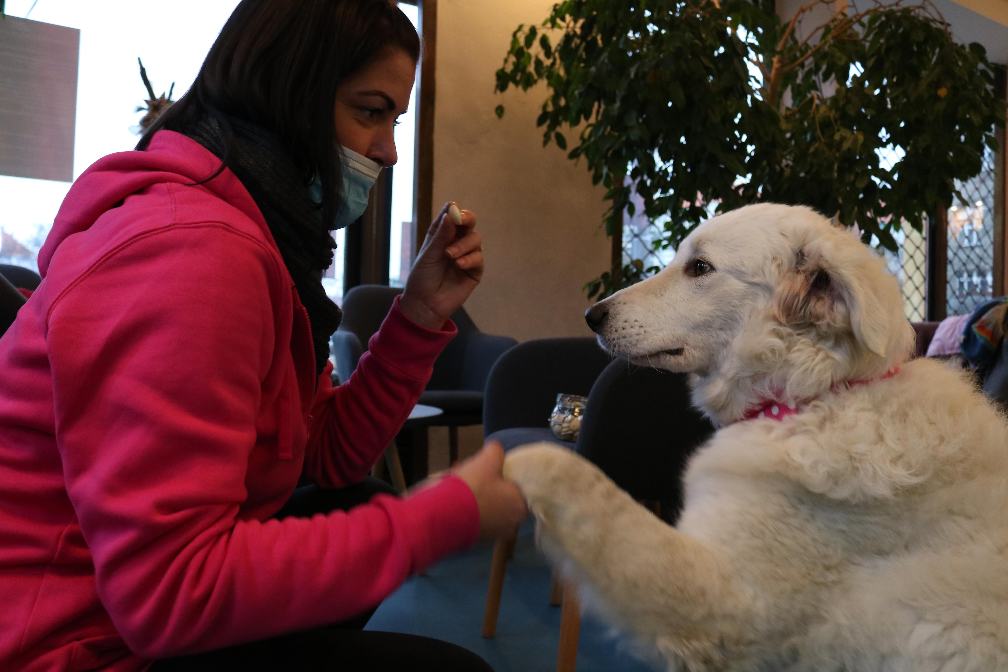 Best Friends’ Club foto 2