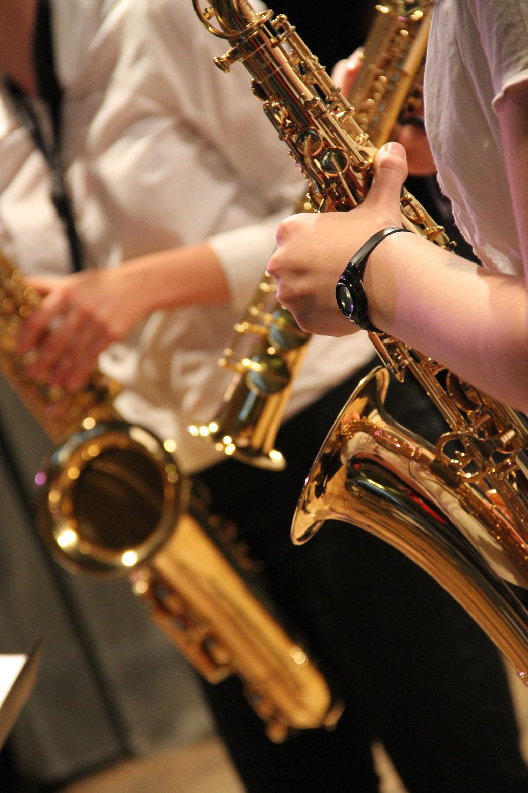 Druhá soukromá základní umělecká škola, s.r.o. foto 4