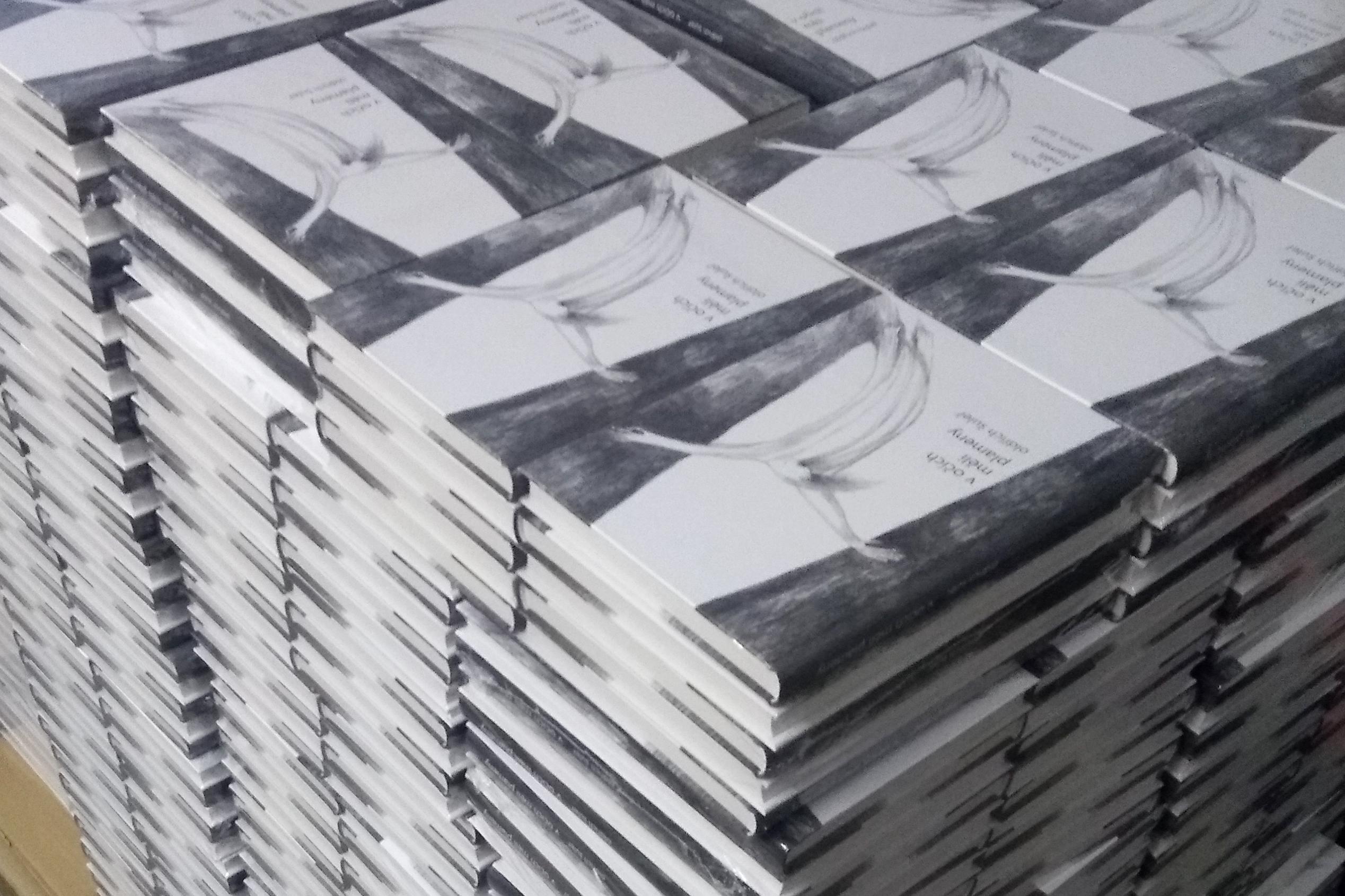 Ing. Oldřich Šuleř