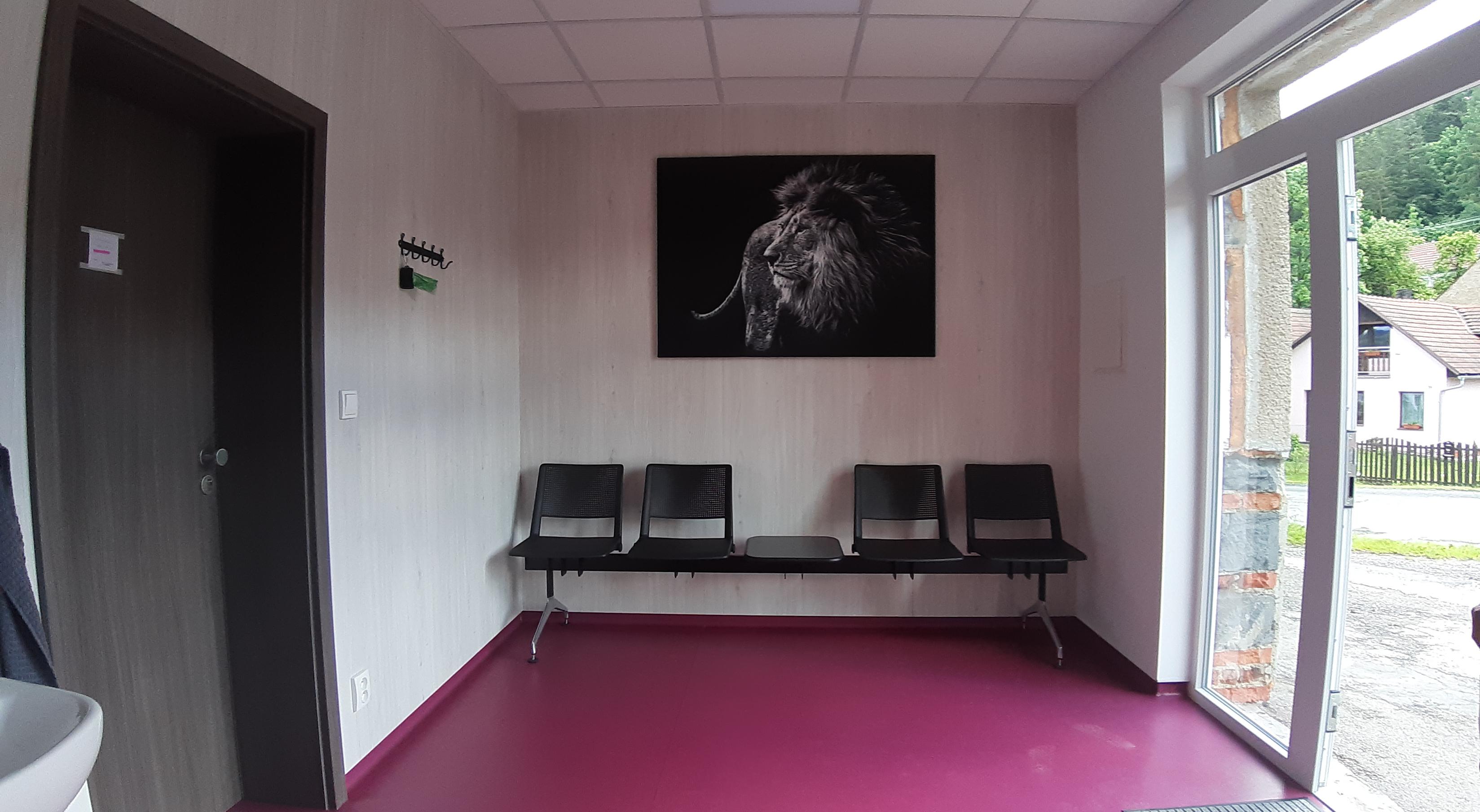 MVDr. Alena Zapletalová - Veterinární ordinace Ludmírov foto 3