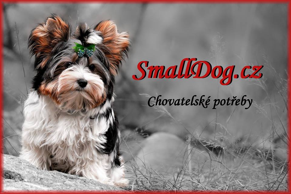SmallDog.cz