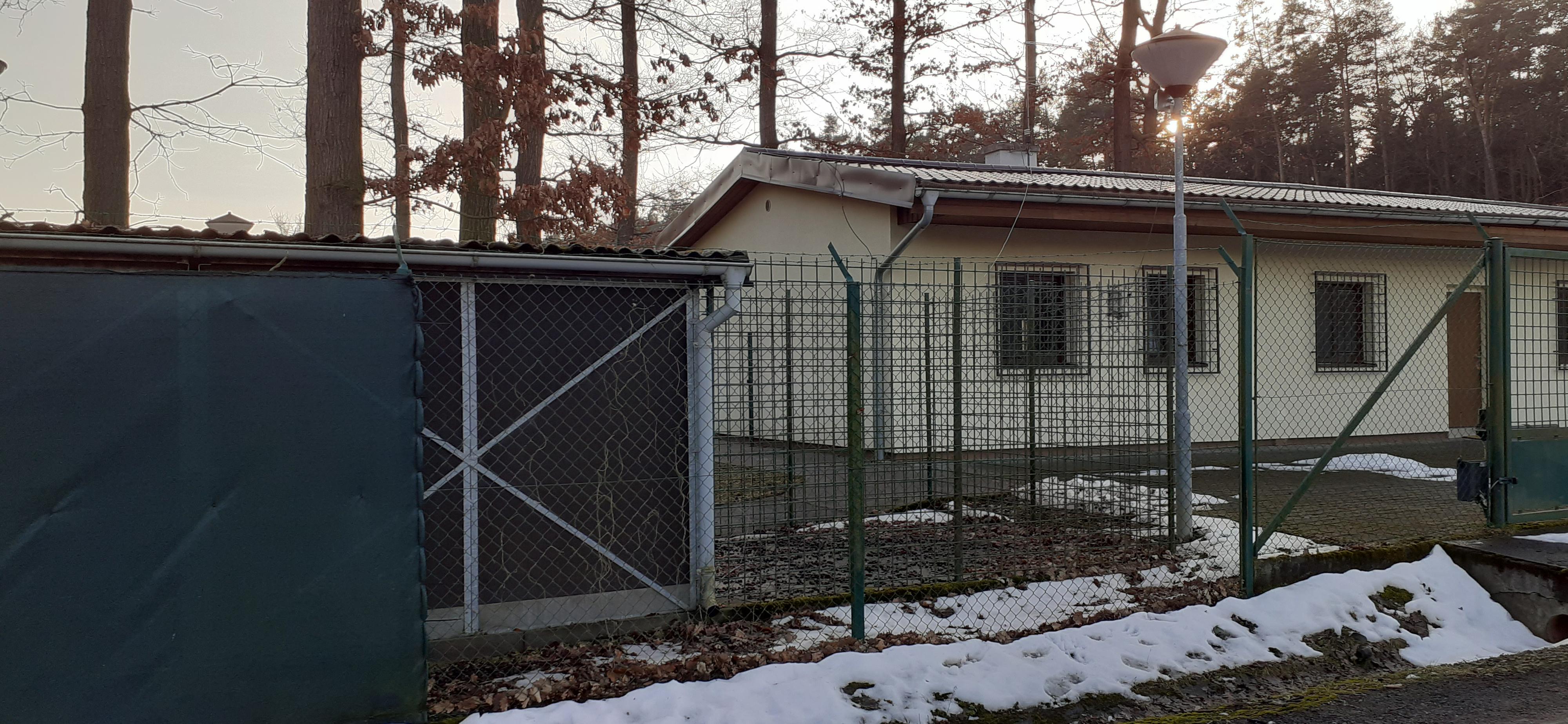 Městská policie hl. m. Prahy - útvar psovodů foto 4