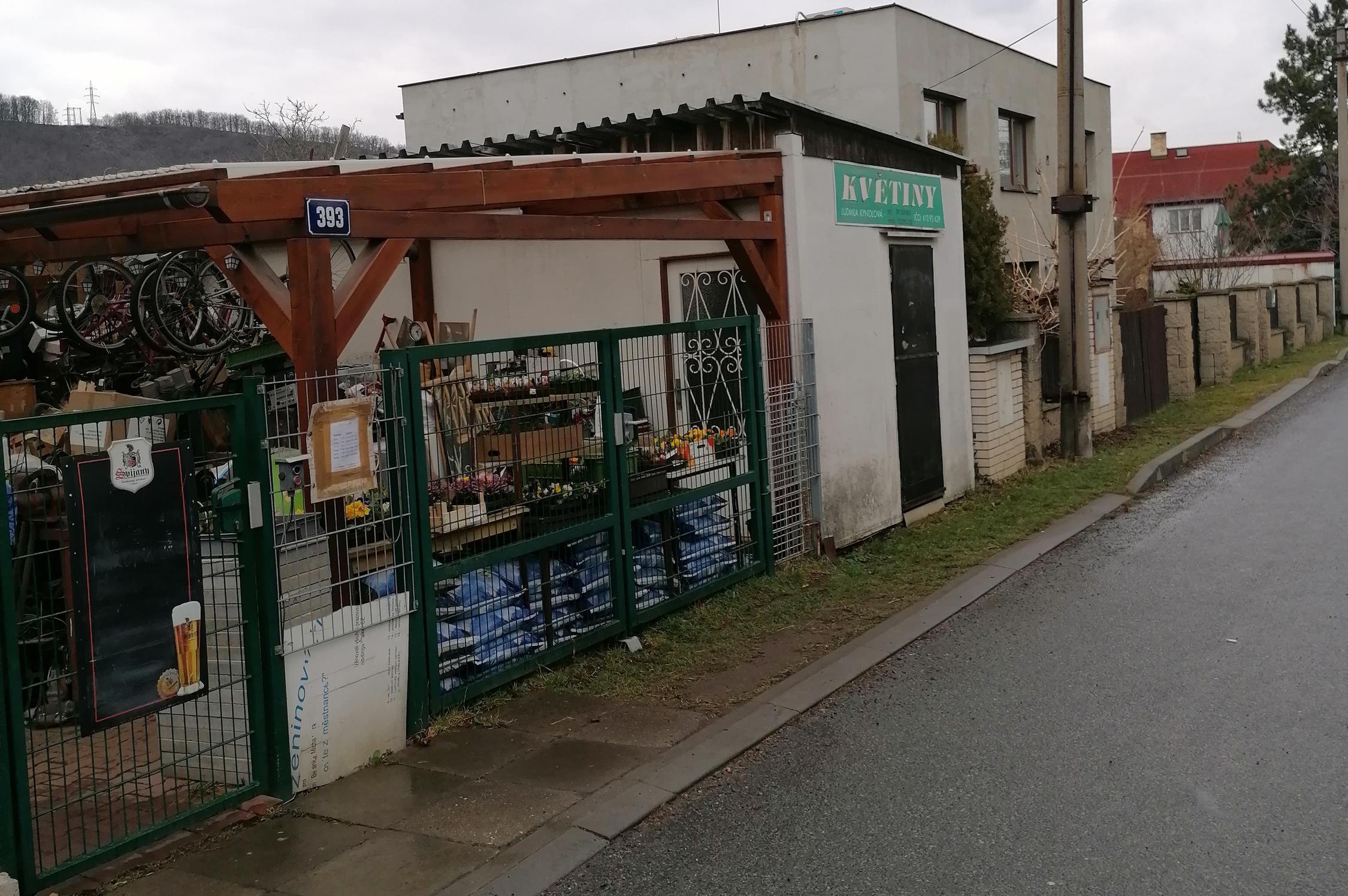 Květiny - Ludmila Kyndlová