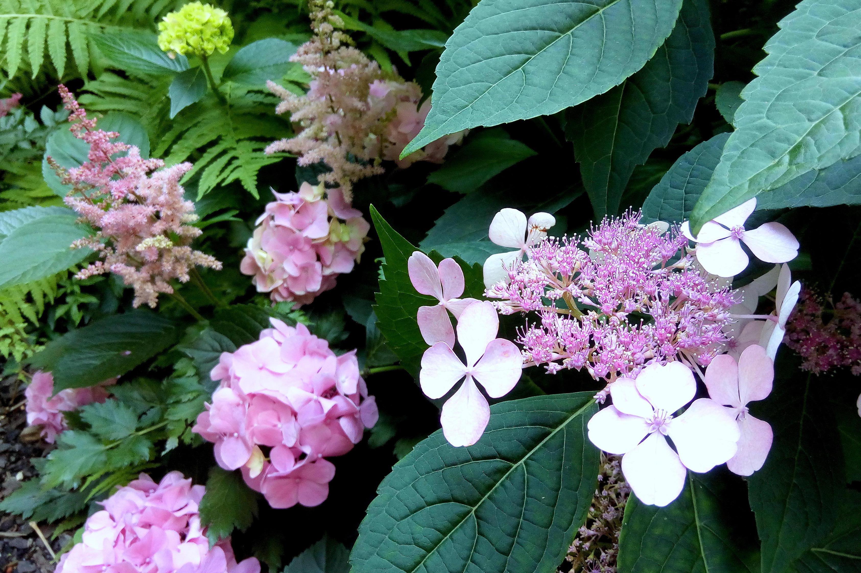 Zahrada profesionálně