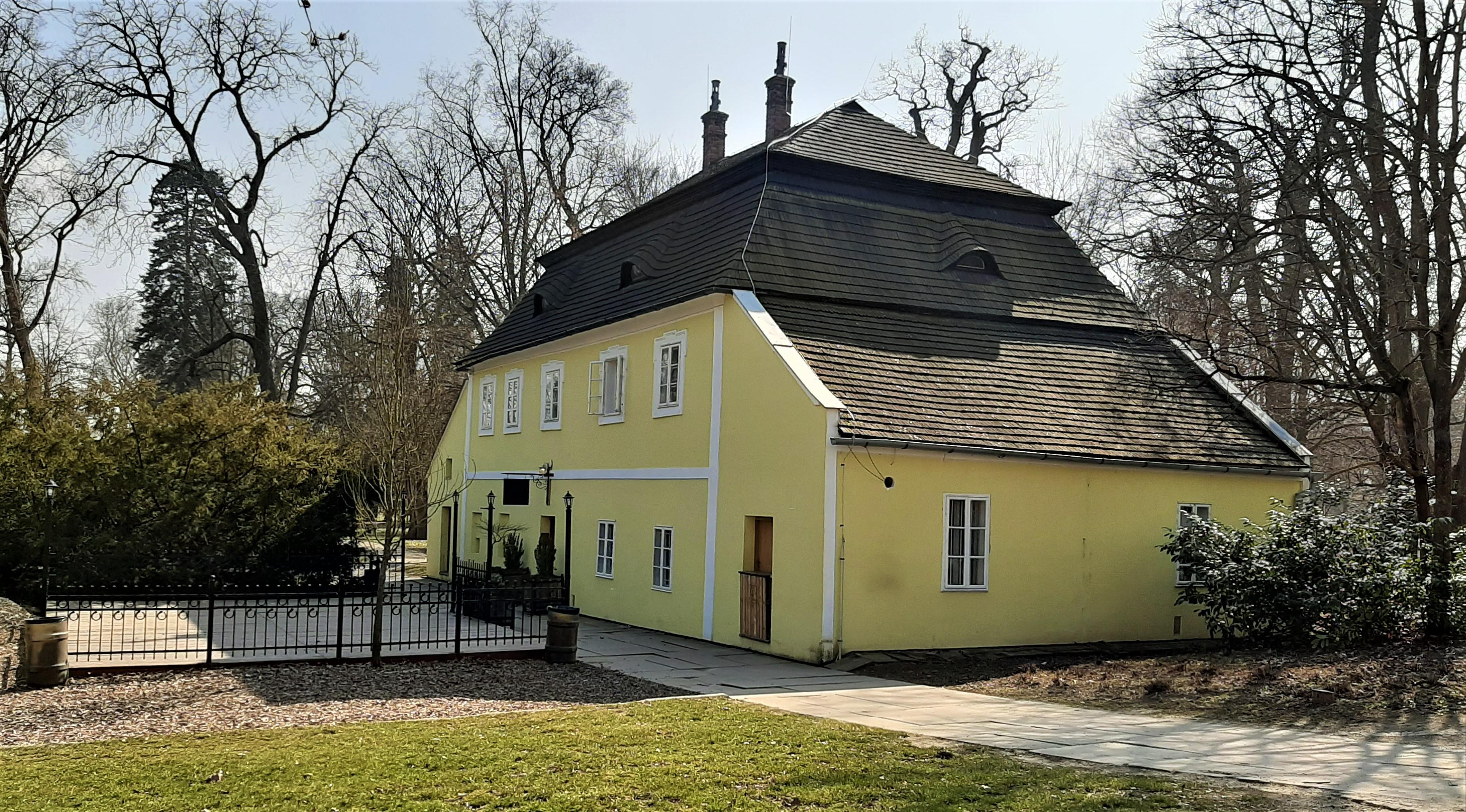 V parku foto 4