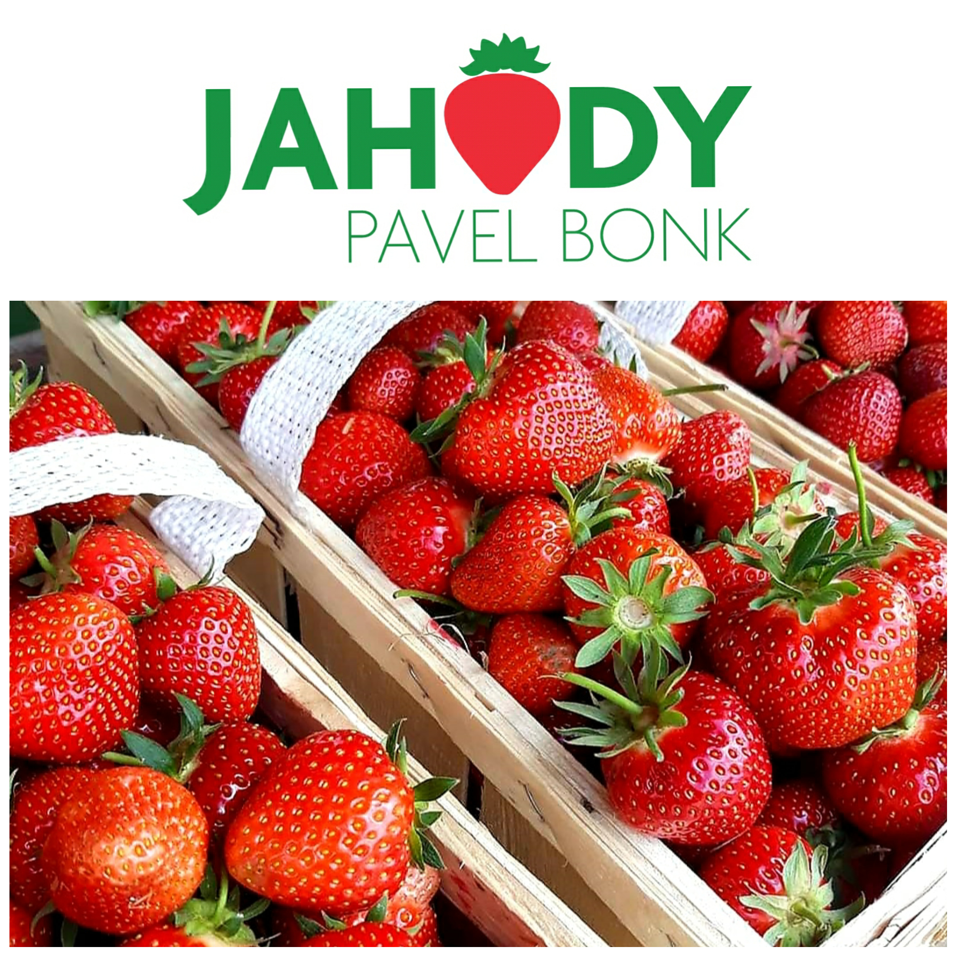 Zahradnictví a Jahodárna Pavel Bonk foto 2