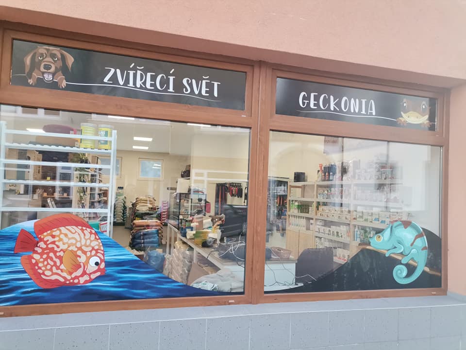 Zvířecí svět Geckonia foto 2