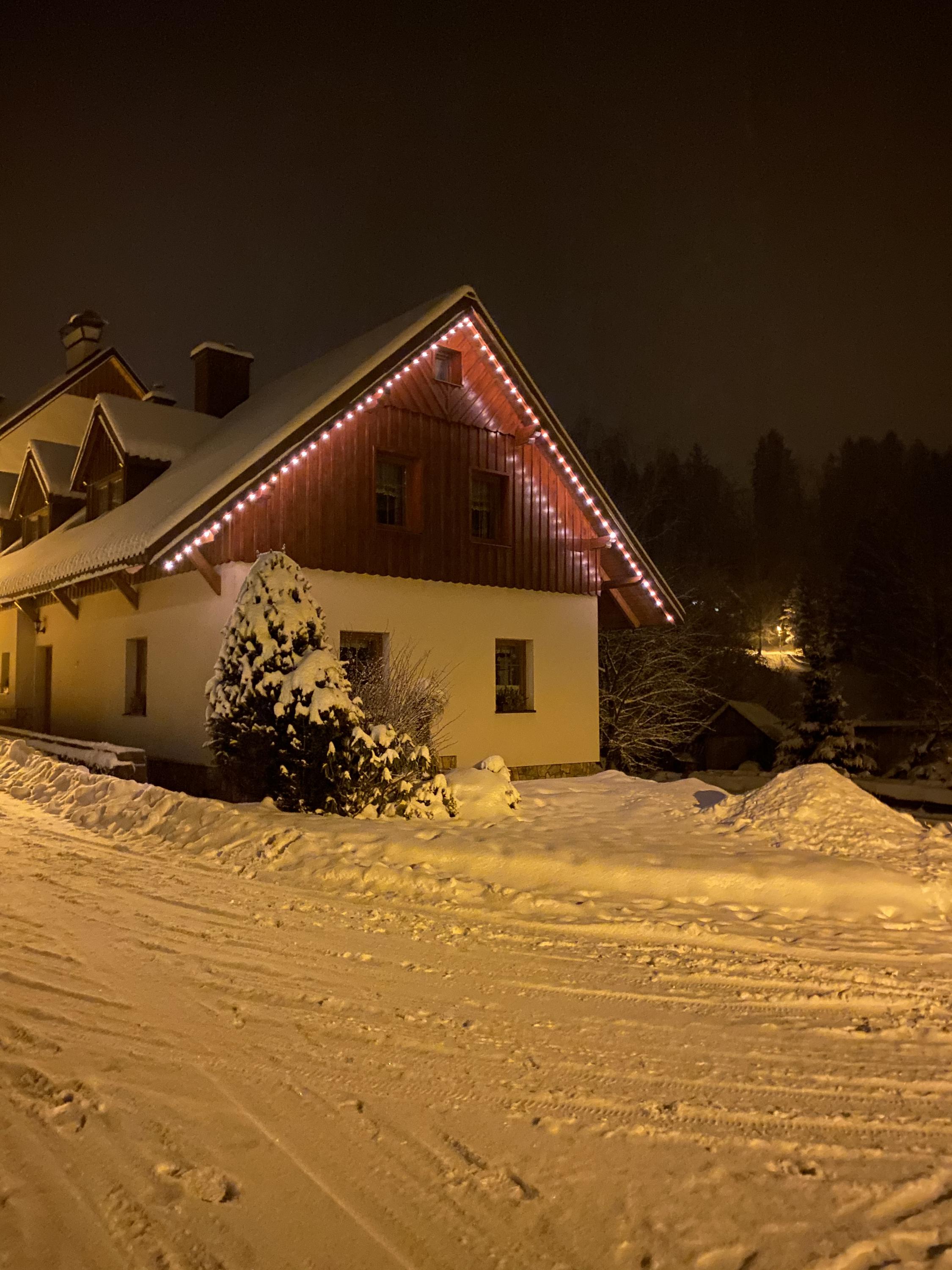 Privat Nedvěd foto 2