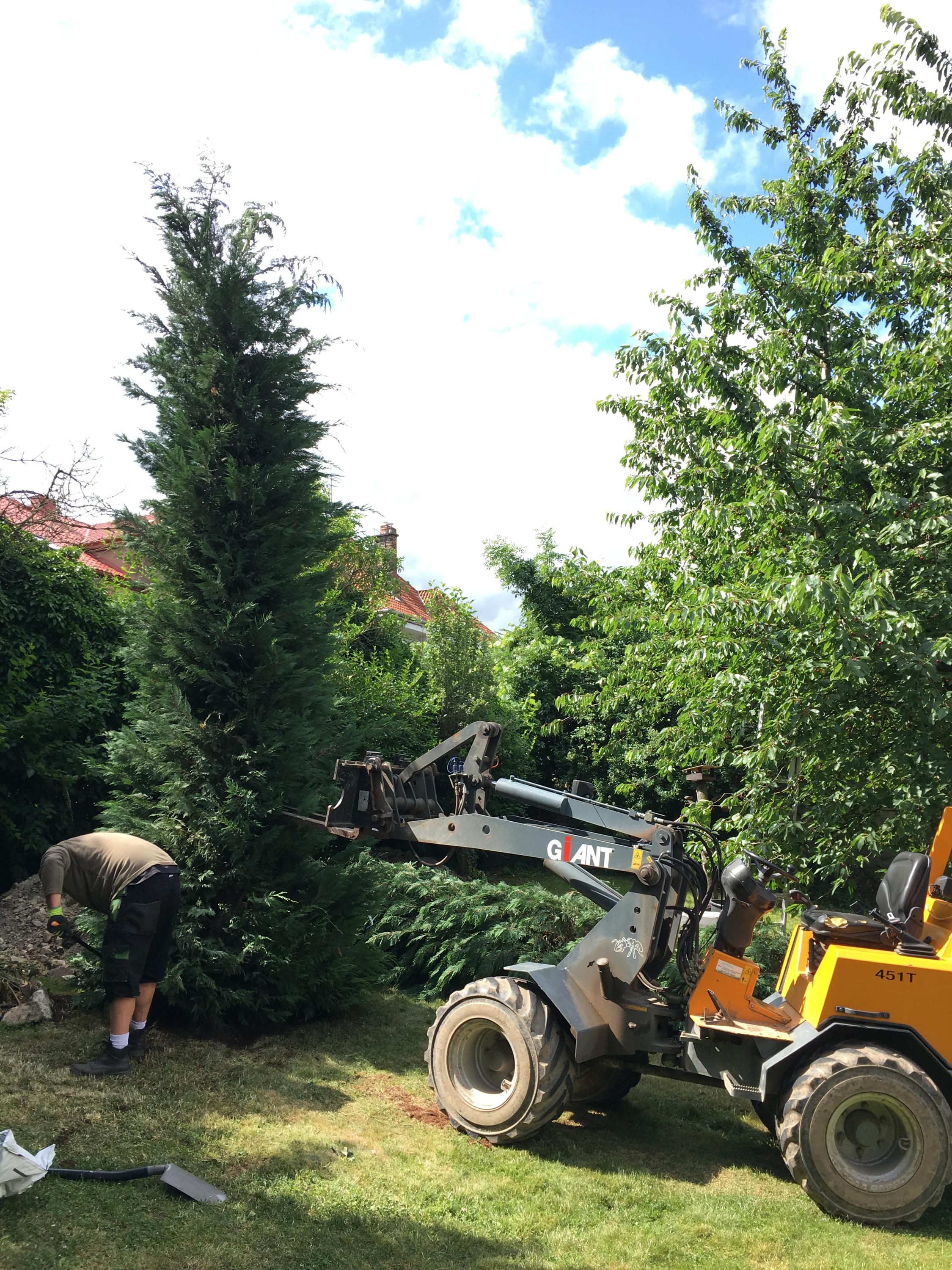 Zahradnické služby Richard Čech foto 2