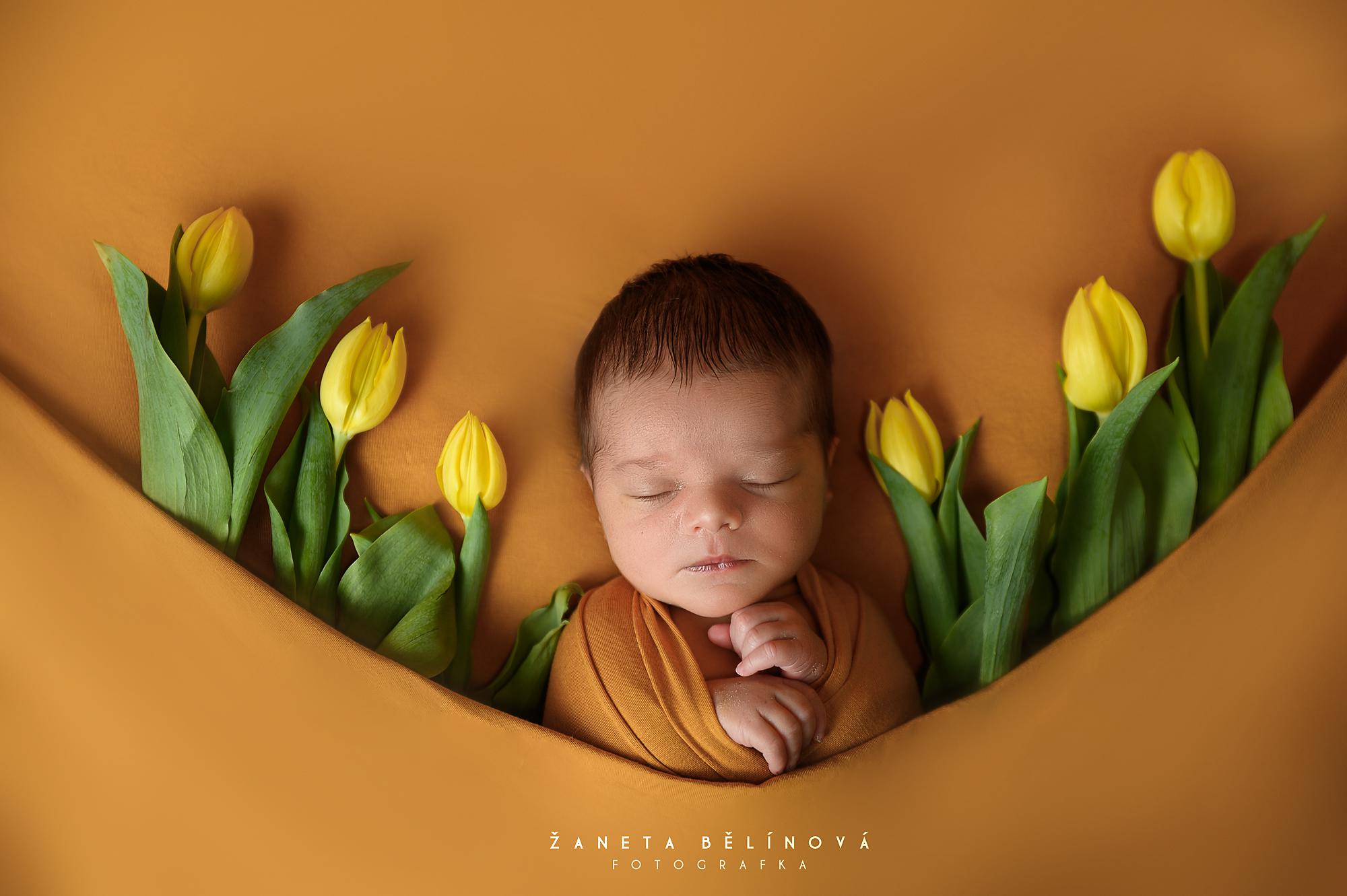 Žaneta Bělínová fotografka foto 6