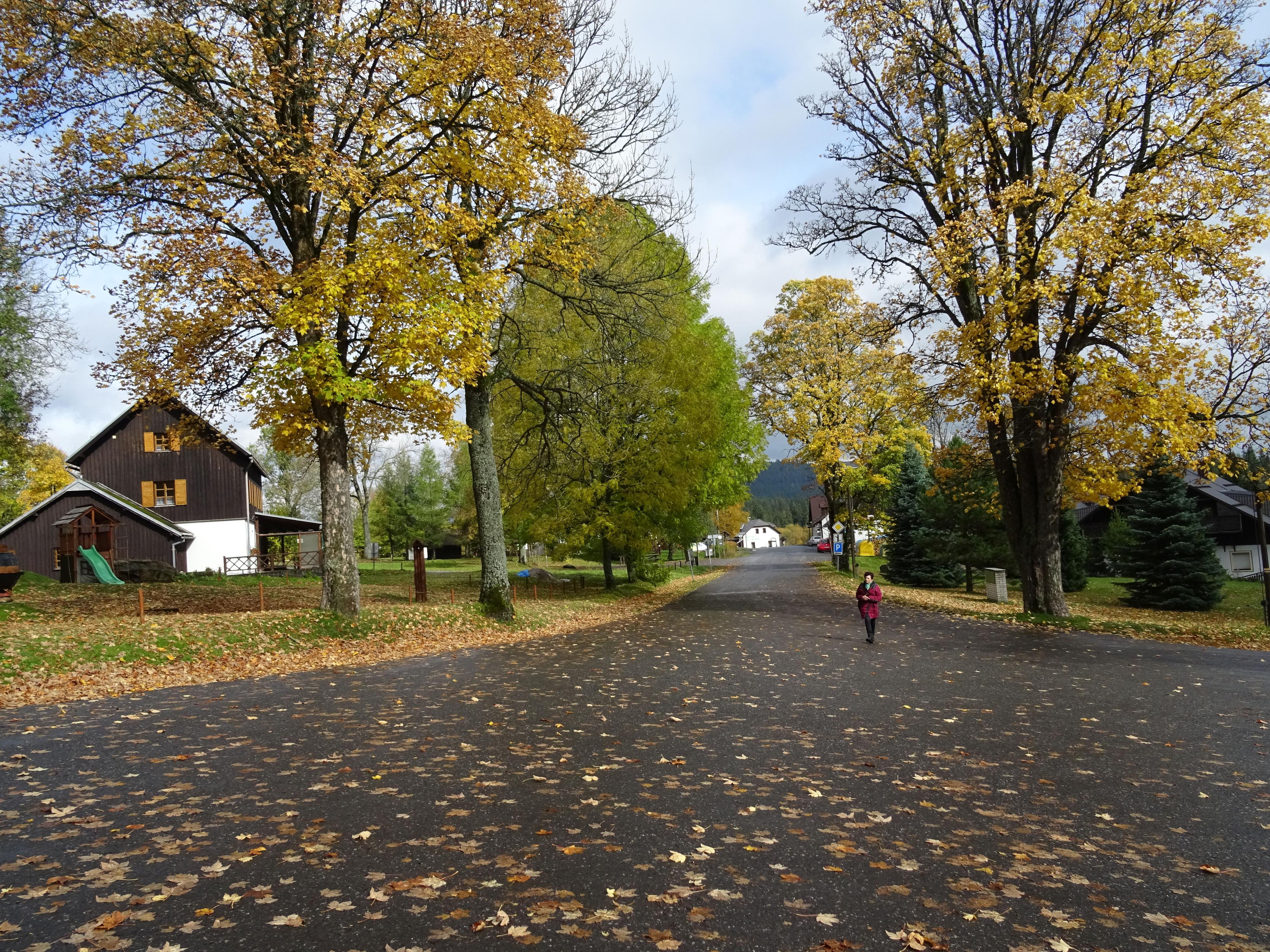 Prášily - obecní úřad foto 4