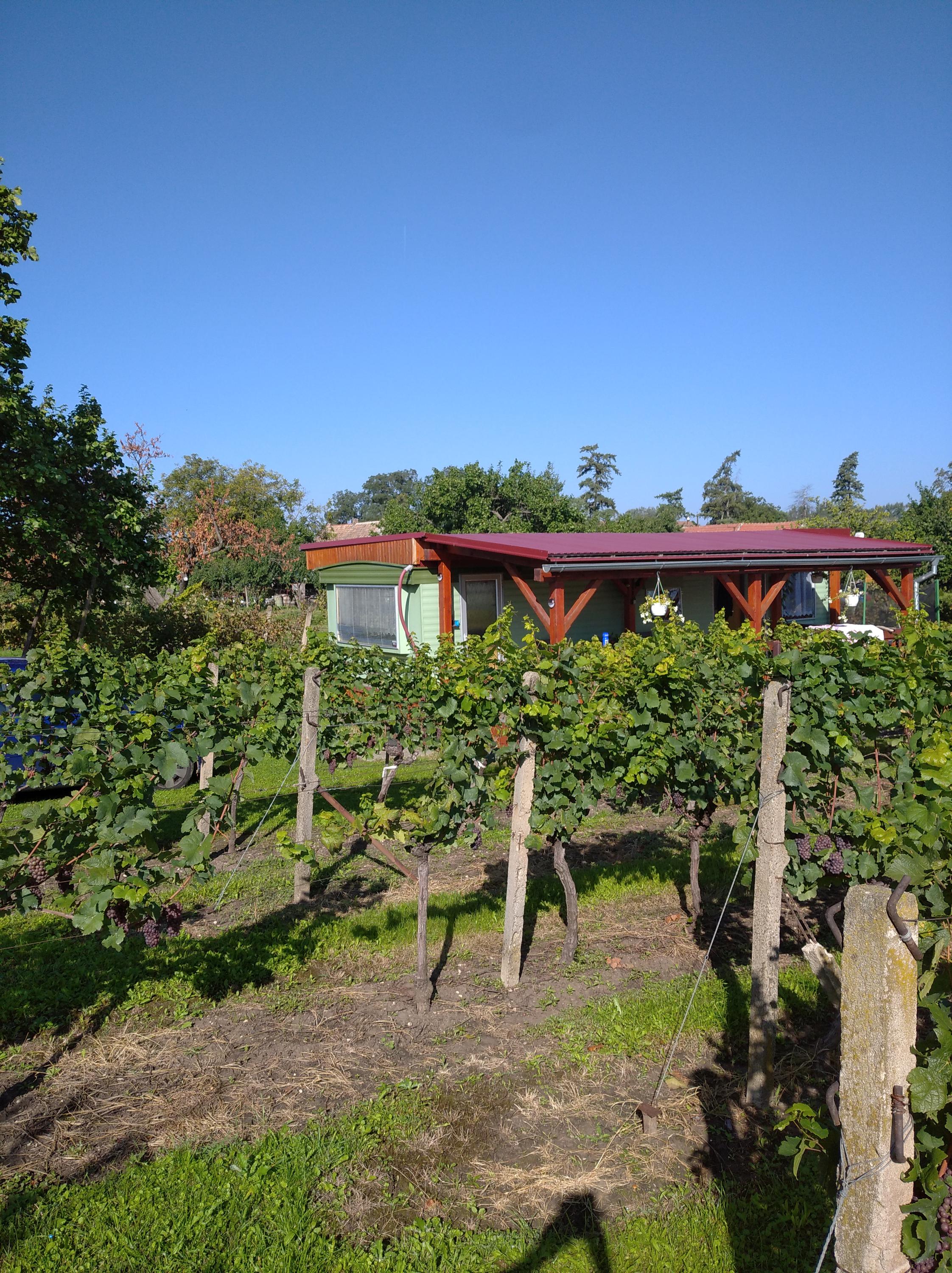 Mobilhome mezi vinohrady foto 2