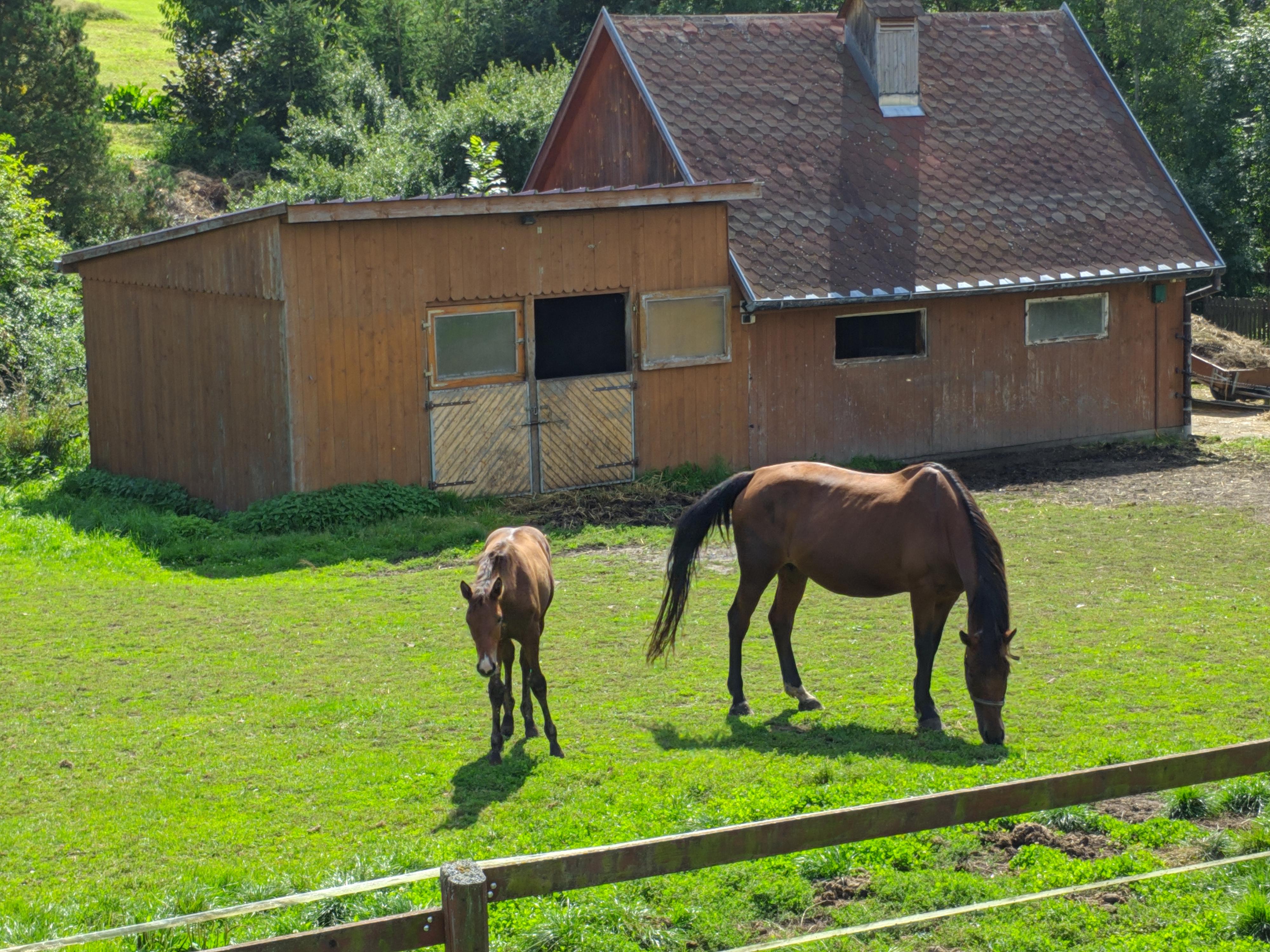 Ing. František Klíma foto 2