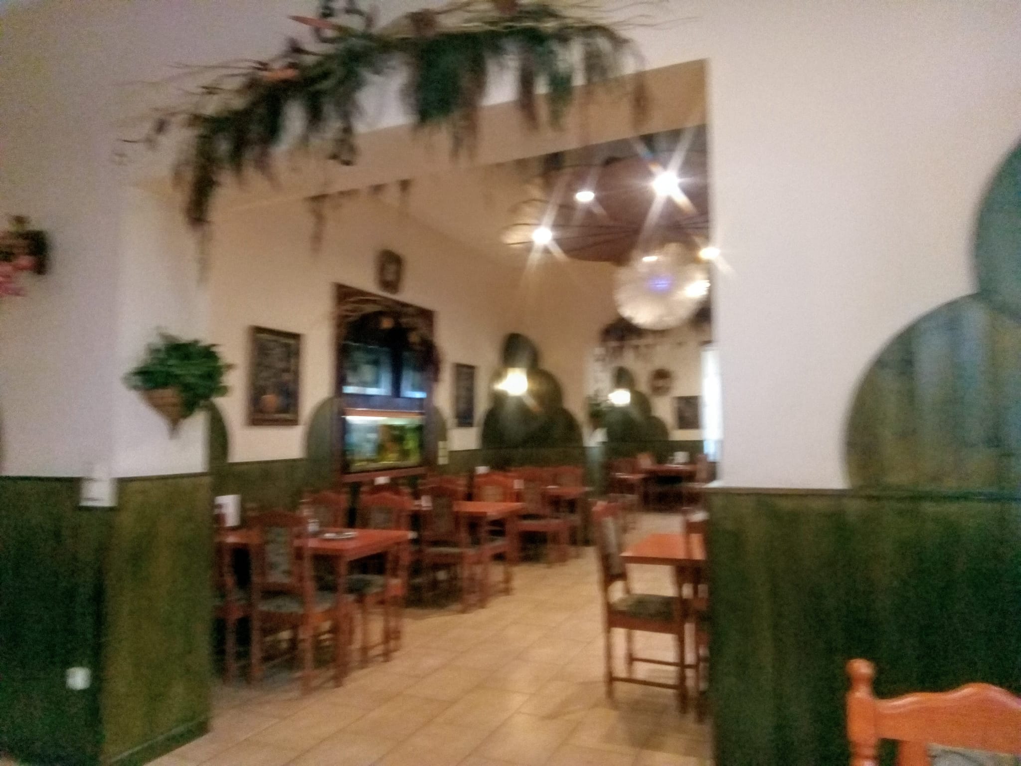 Restaurace a penzion U Parku foto 3