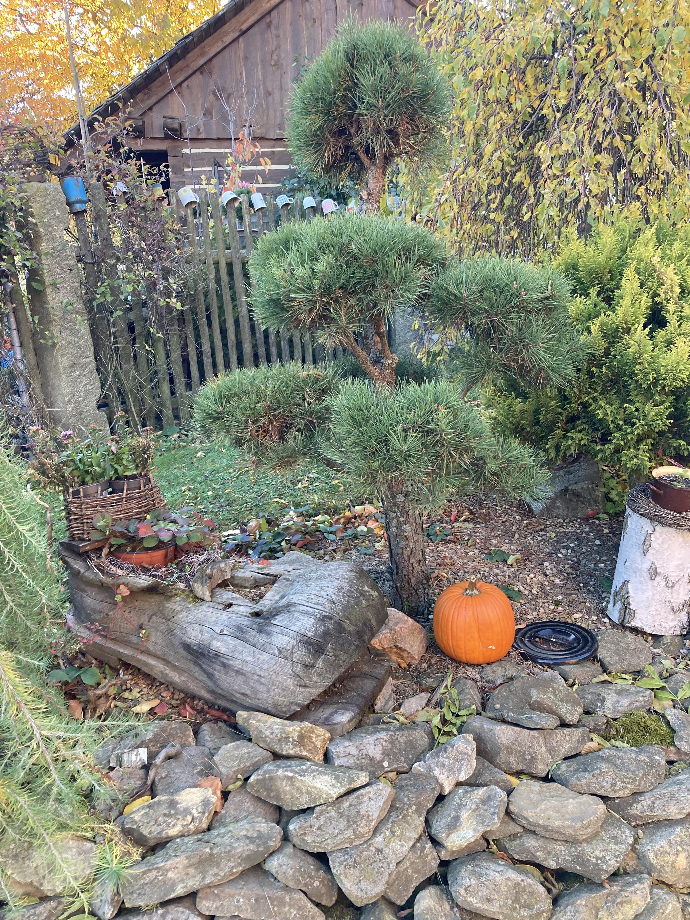 Zahrádka Popice u Jihlavy foto 4