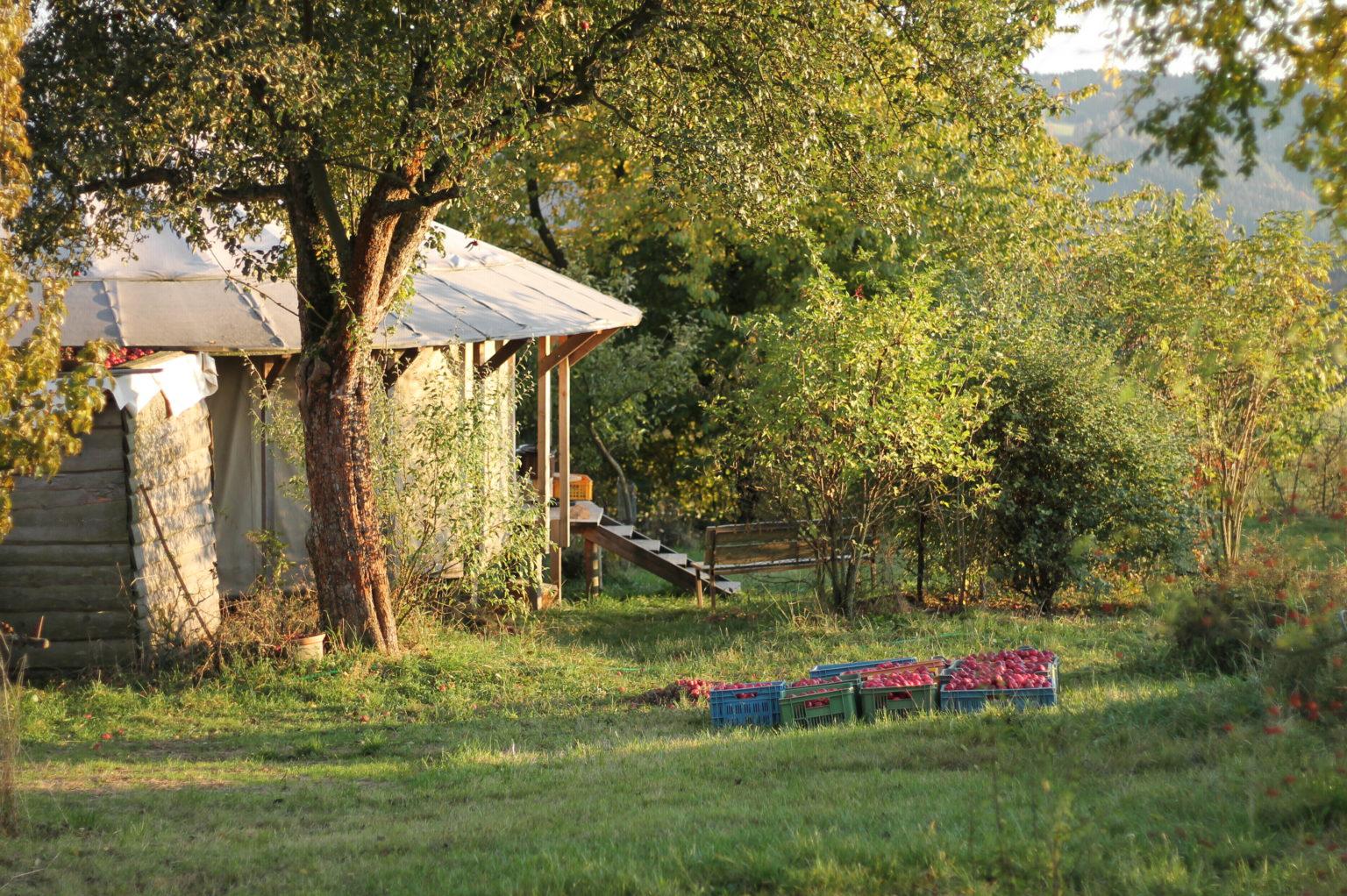 Statek u Macháčků | bio zelenina a ovoce, bio mouka