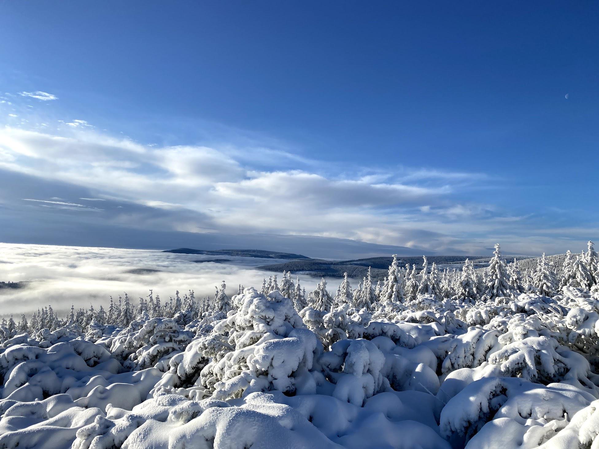 Byt Malá Úpa foto 6