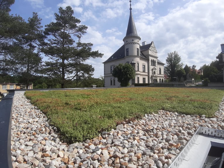 Zelené střechy ECOSEDUM® PACK foto 5