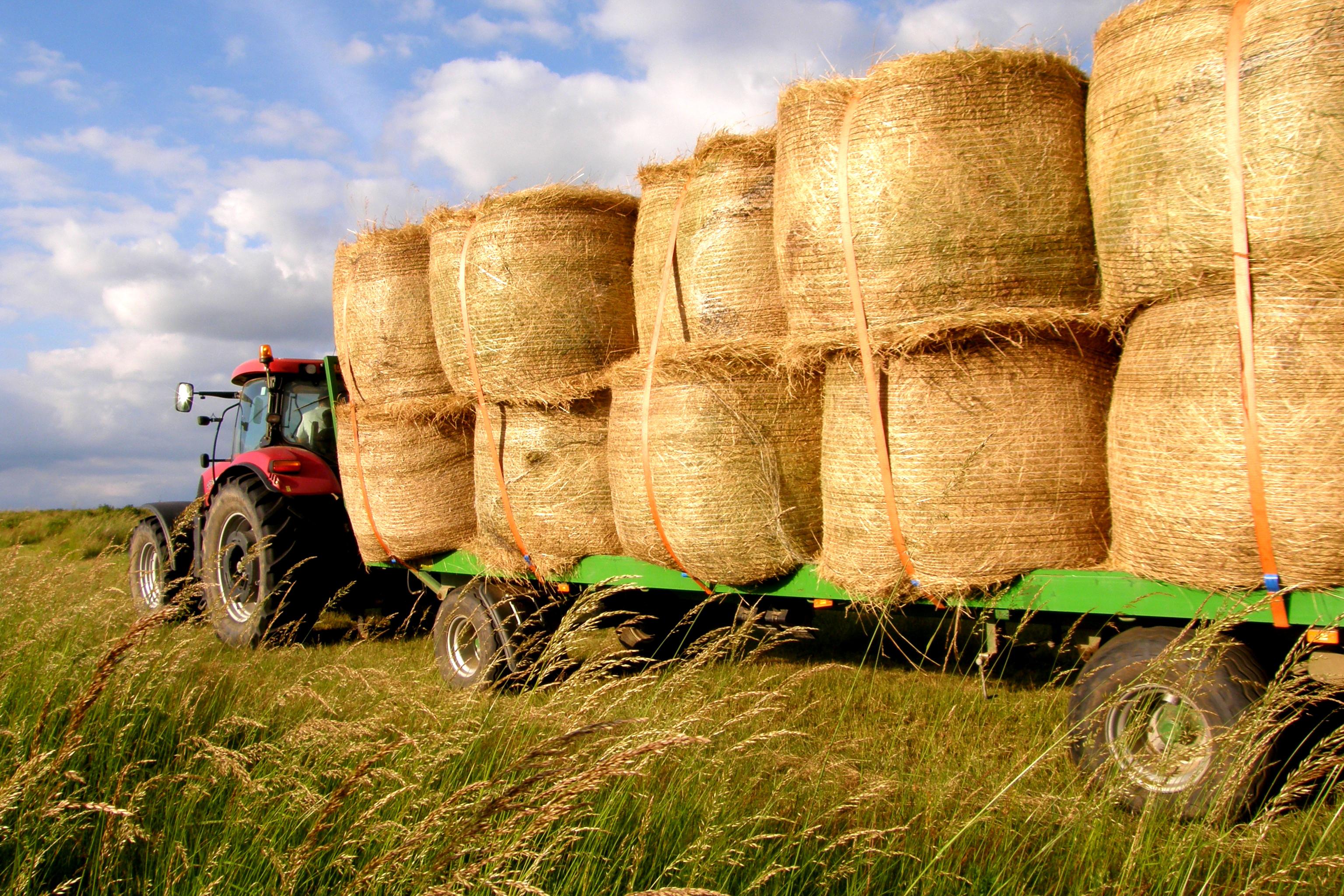 Agroslužby Miroslav Růta