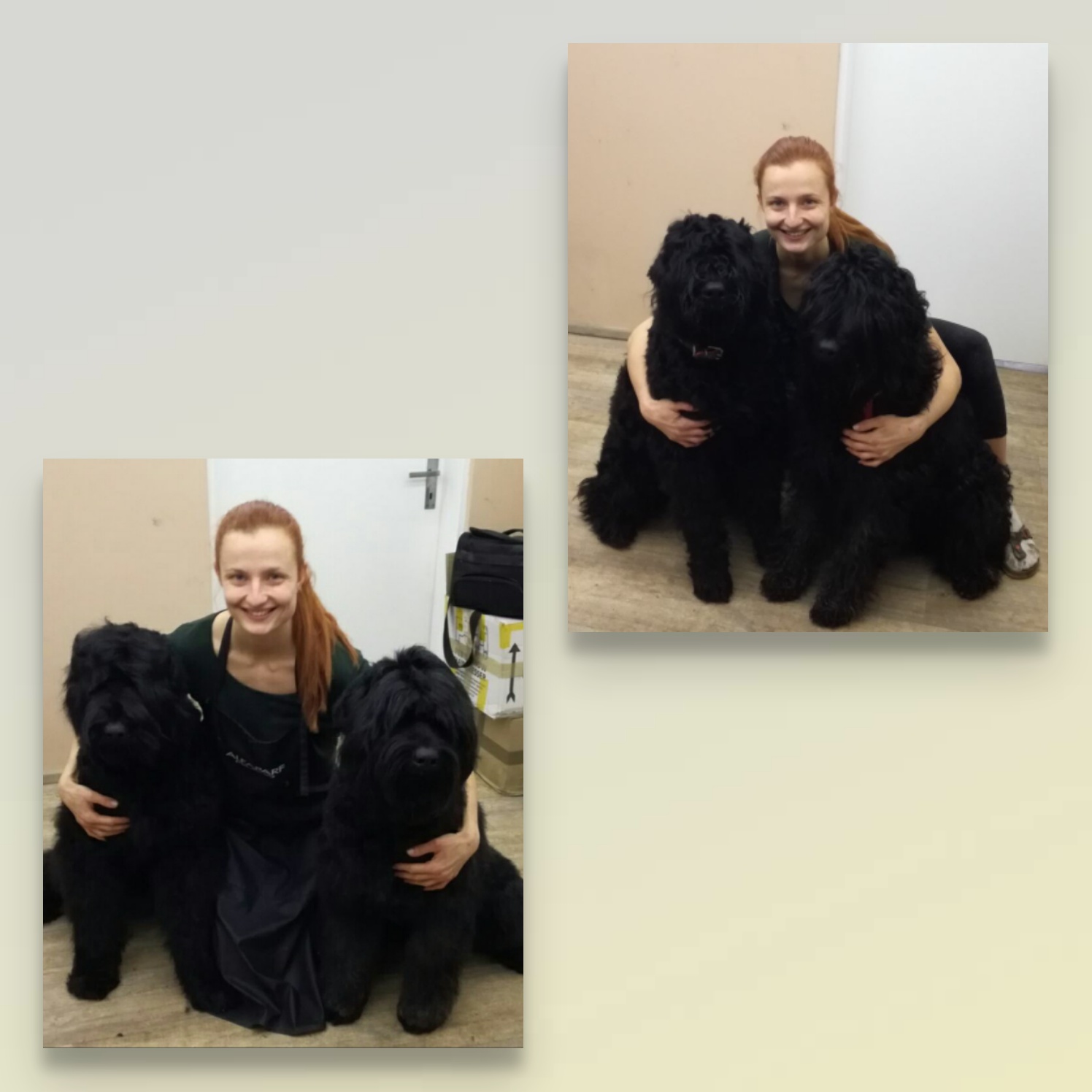 Psí salon Merlin foto 3