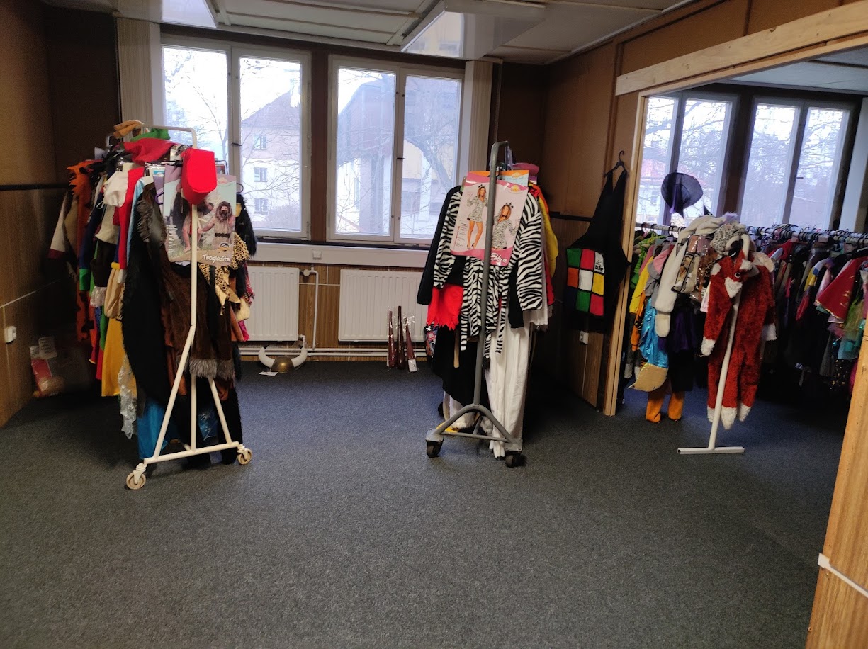 Karnevalové kostýmy - Kamila Fricová foto 3