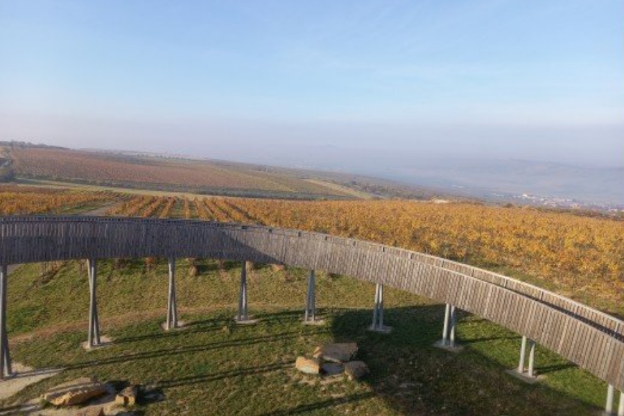 Akce a události v okolí Kobylí