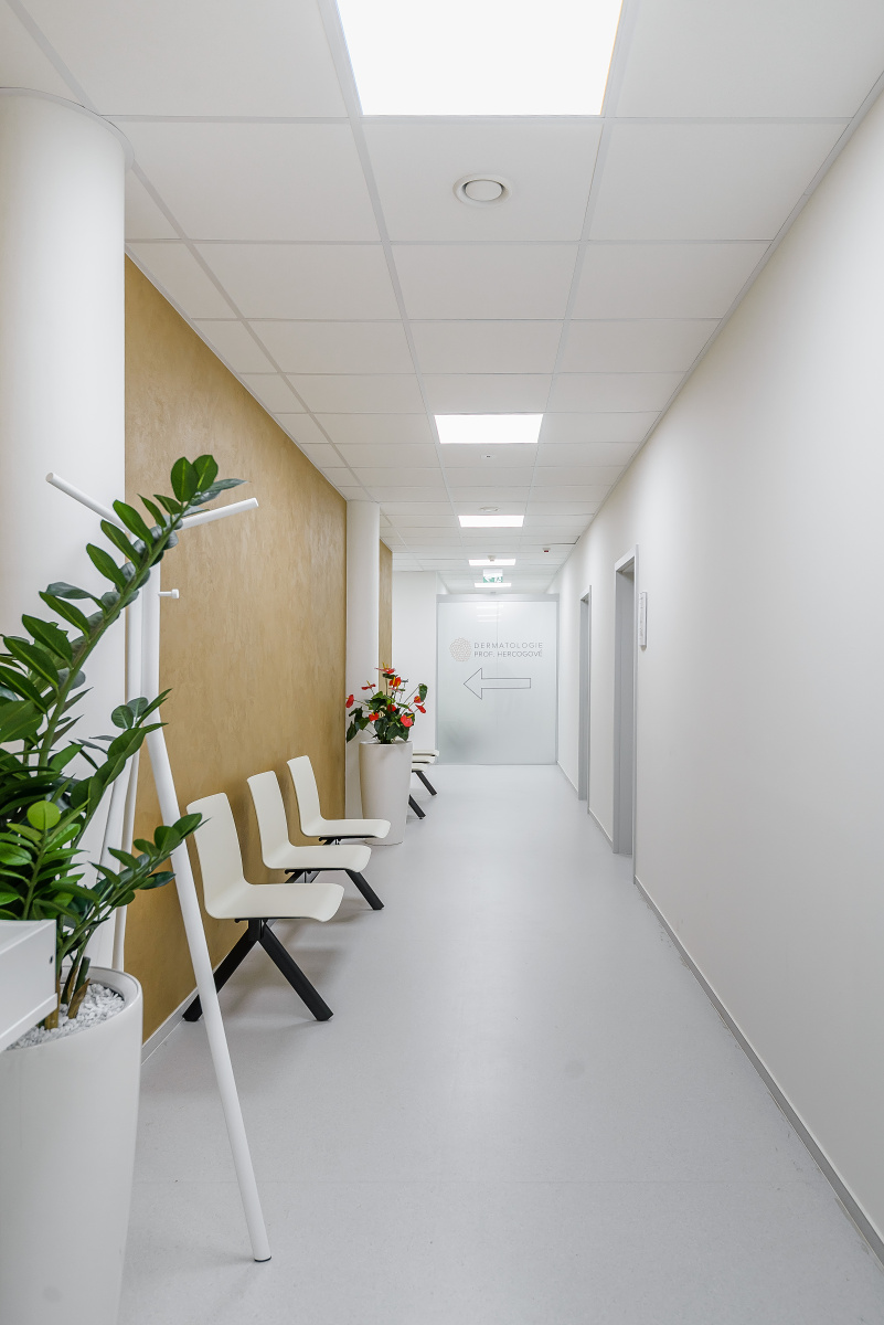 Bulovka Medical & Business Centre foto 4