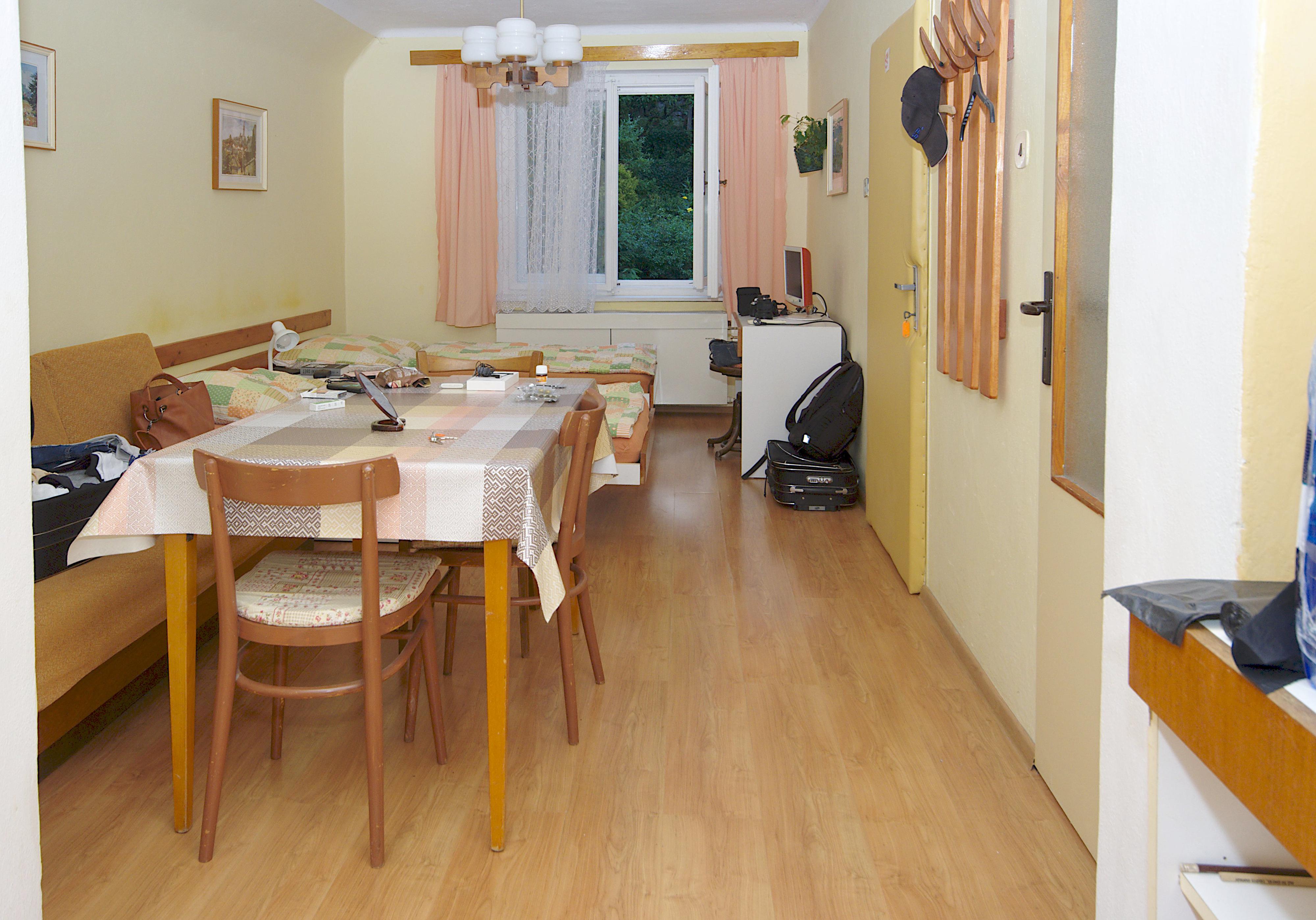 Levné ubytování U Davidů foto 6