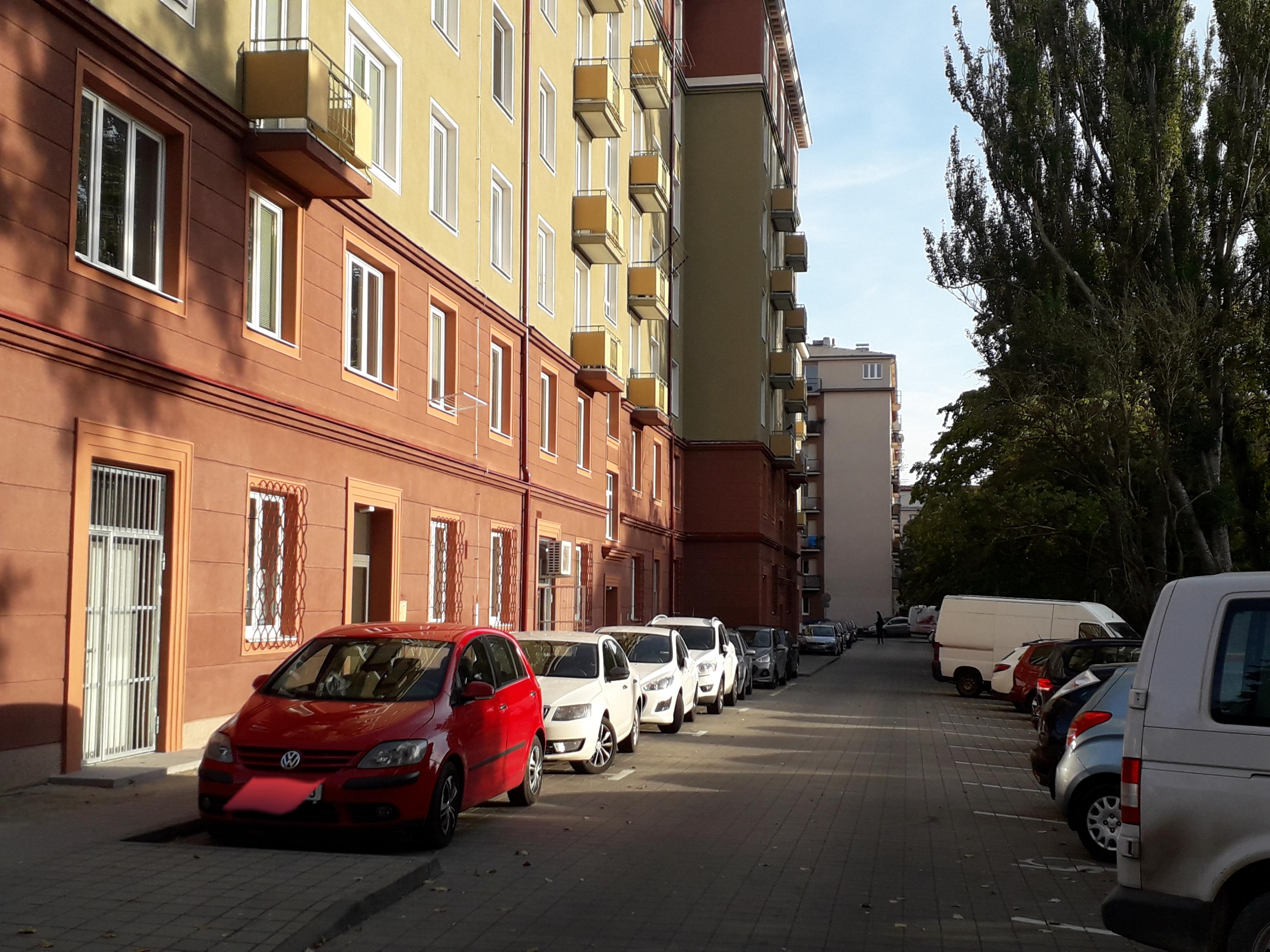 Angličtina na Botance foto 4