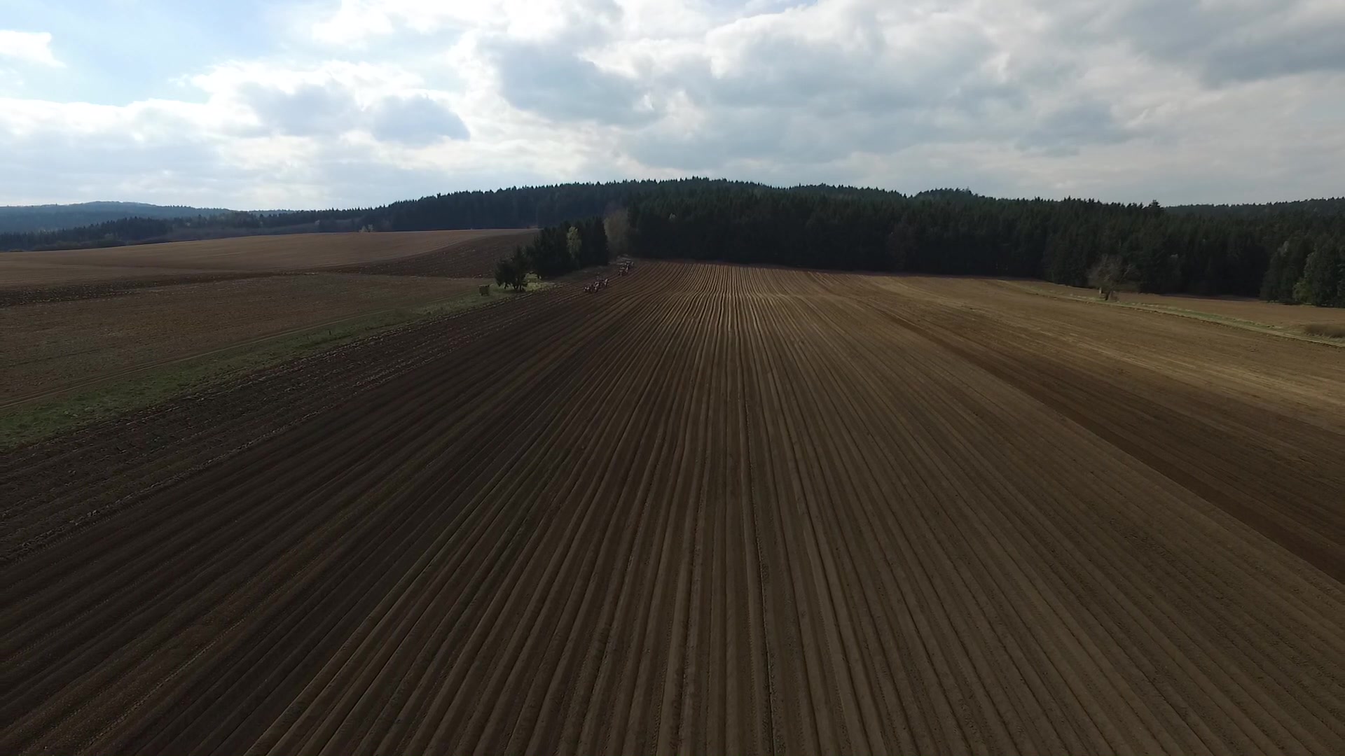 Škrobárny Pelhřimov, a.s. foto 2 (náhled videa)