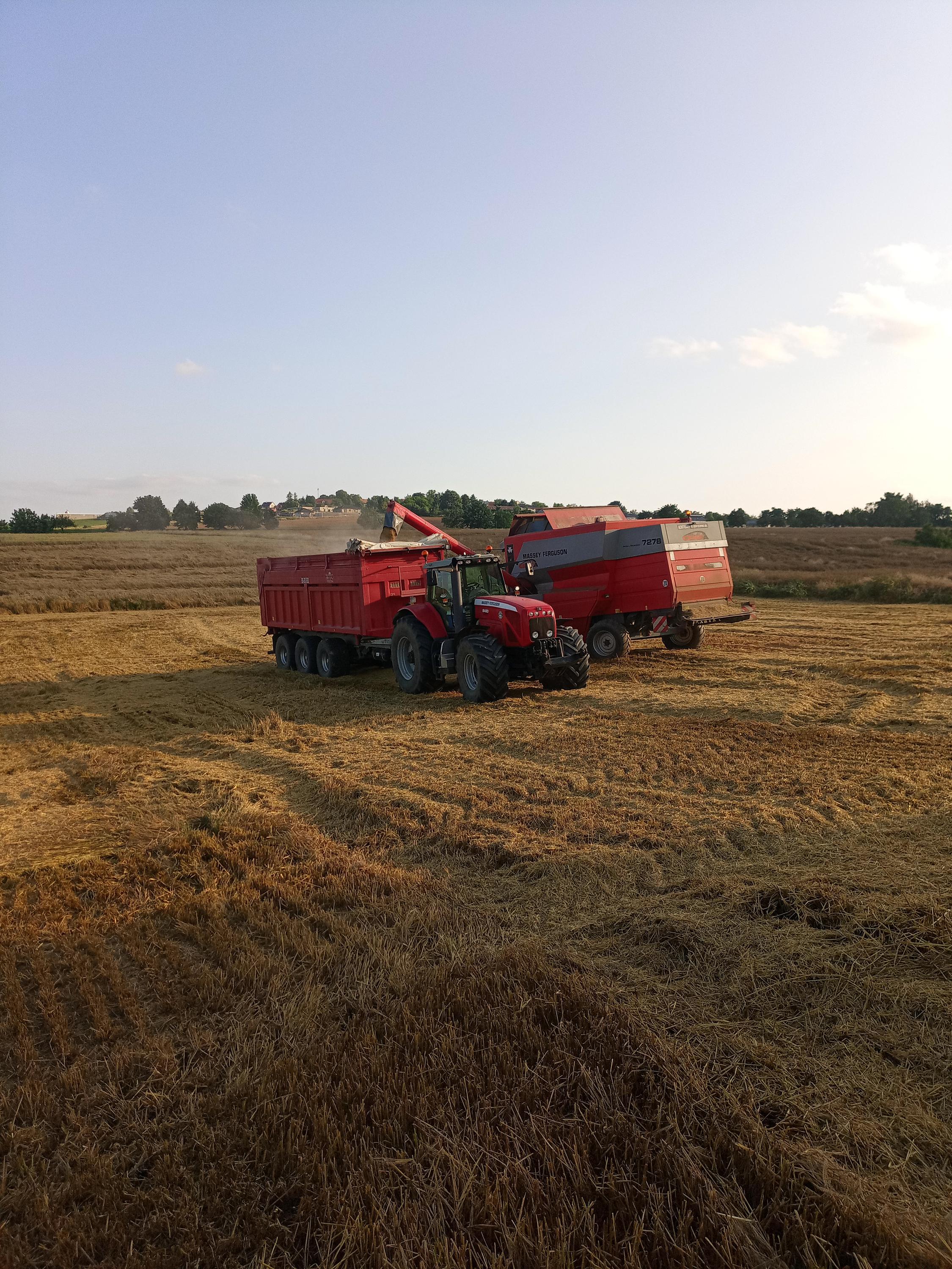 Jaroslav Kubíček - zemědělská farma foto 3