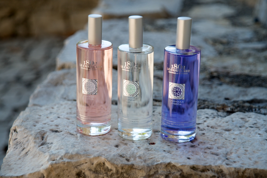 Francouzský dům.cz foto 3