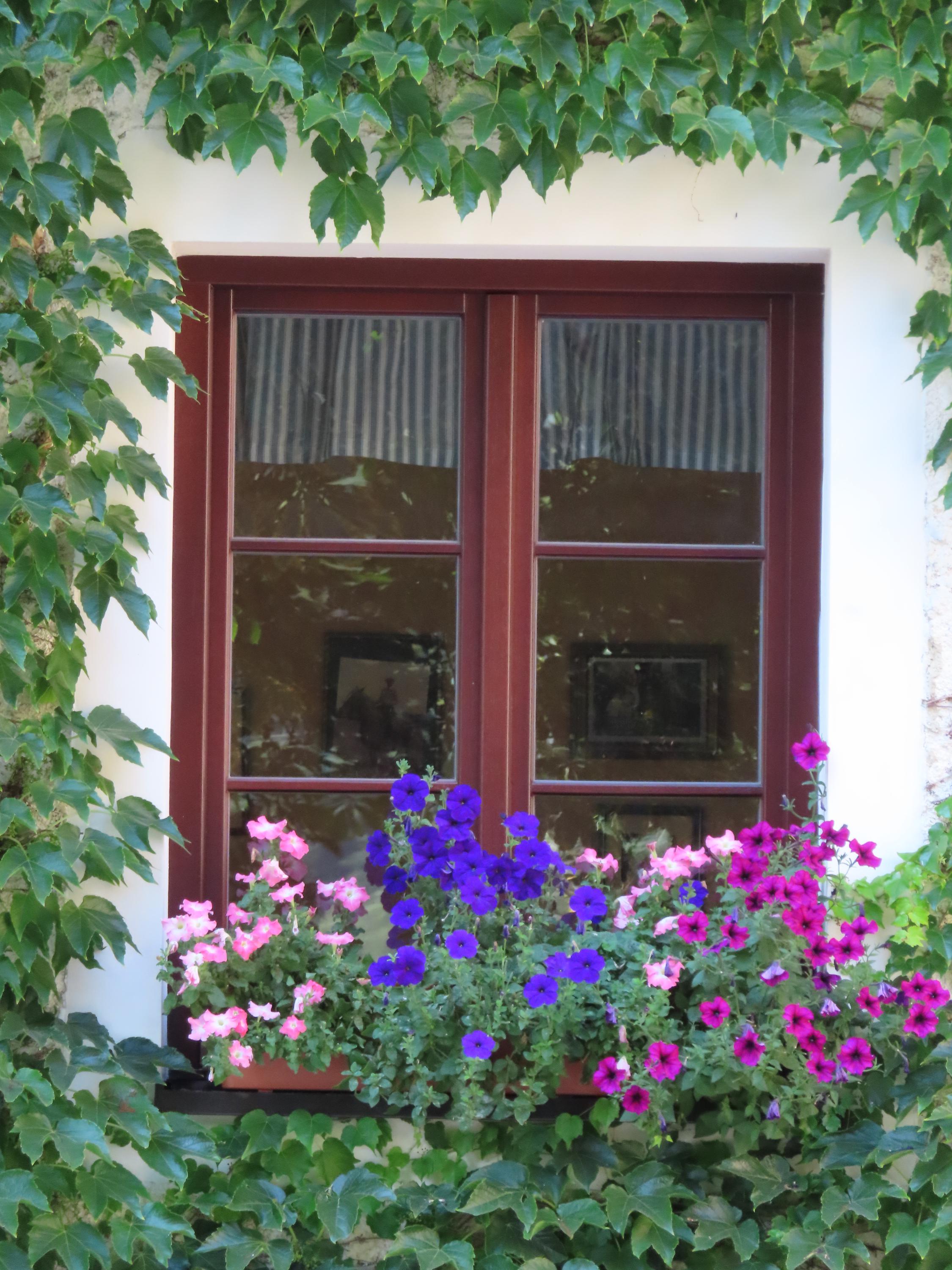 Hospůdka U Krobiána foto 5