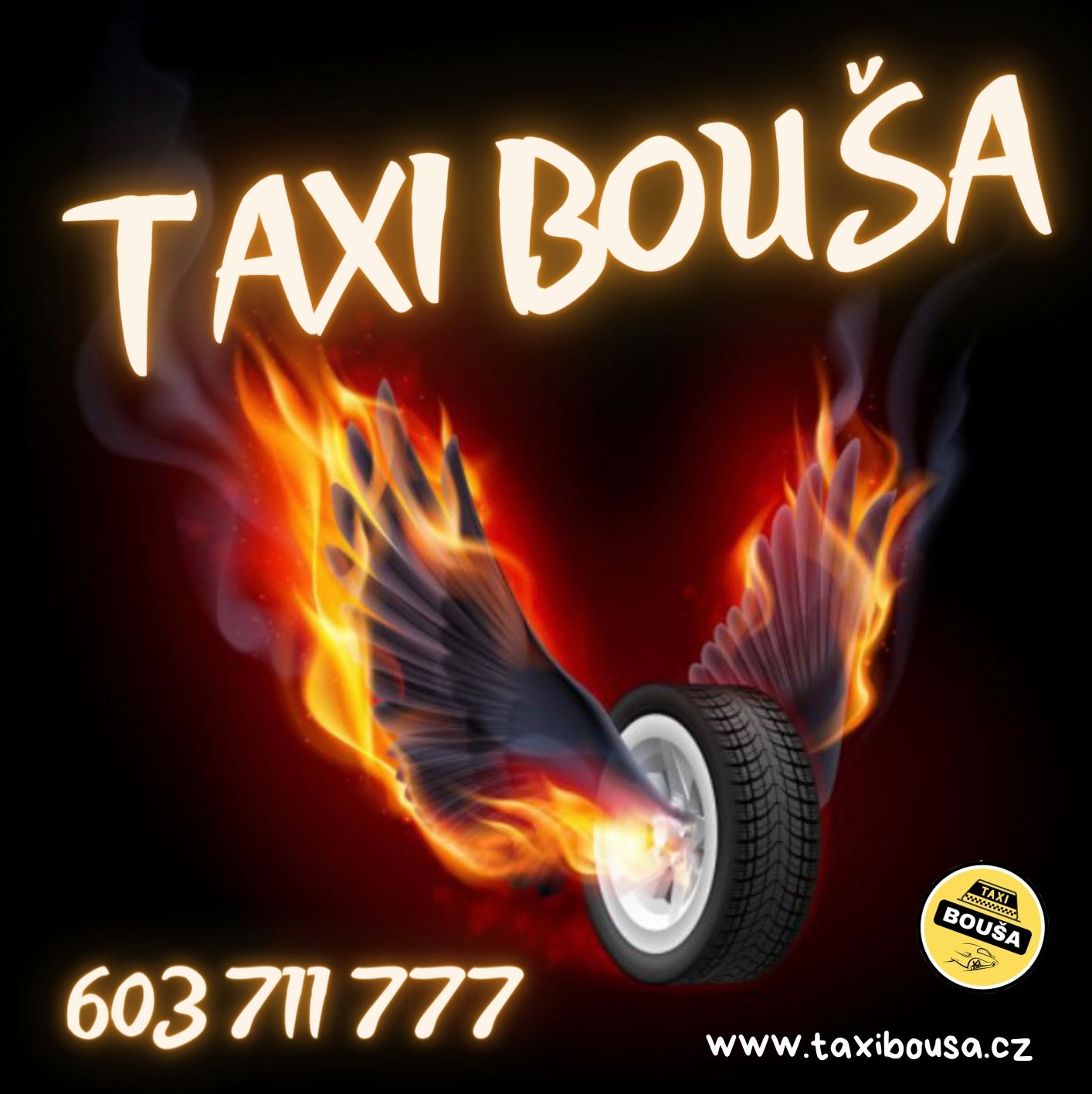 TAXI BOUŠA & LADIES TAXI foto 2