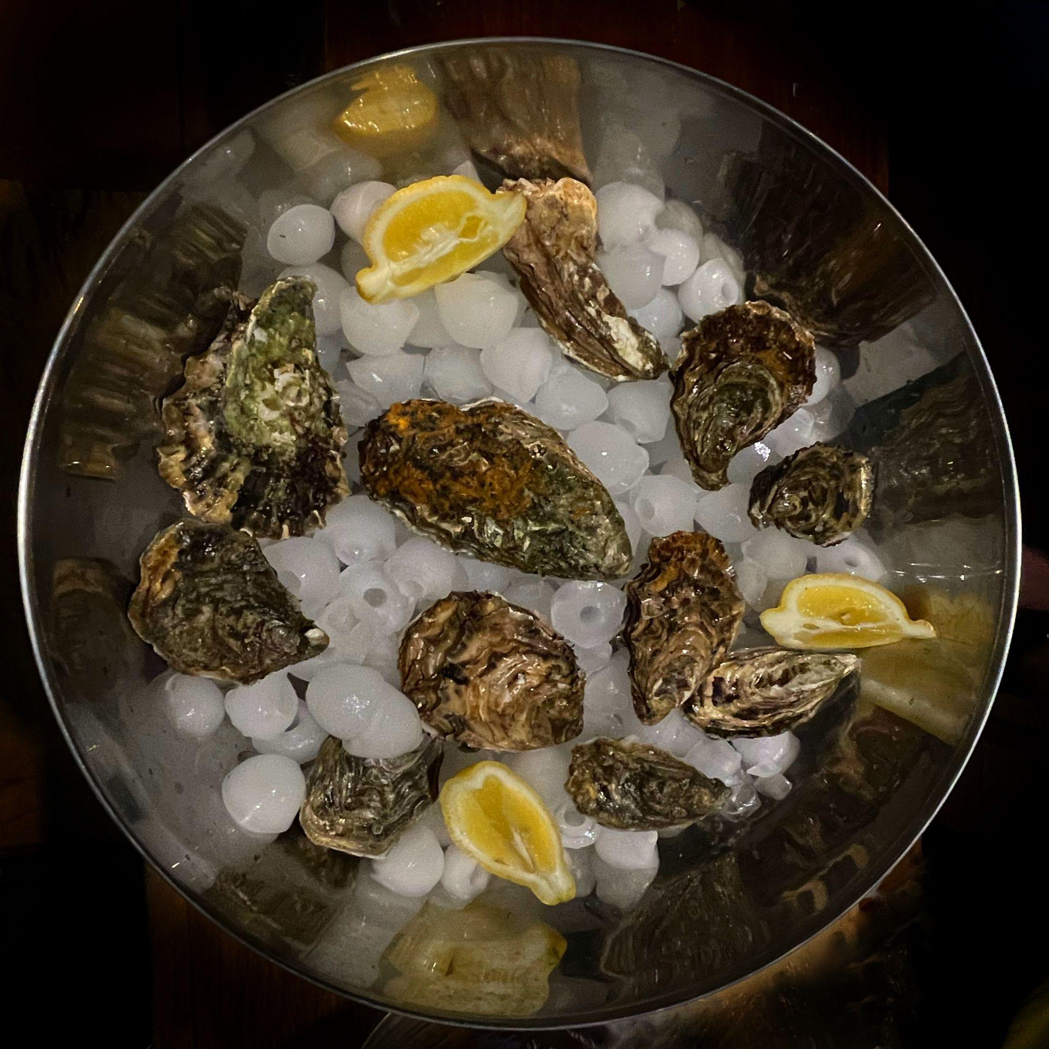 Ubytování a Vinárna U Tří grácií foto 6