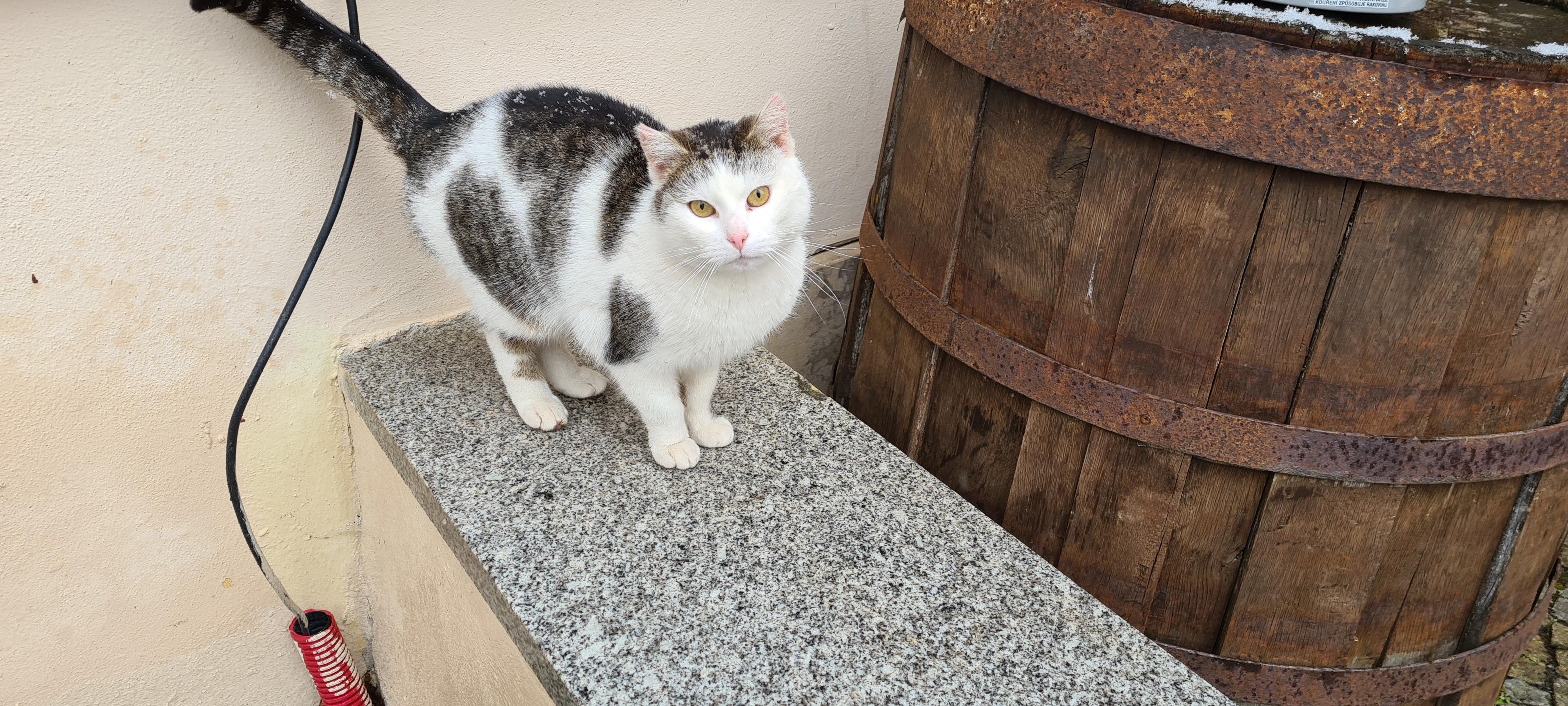 Letovisko Dobrá Voda foto 5