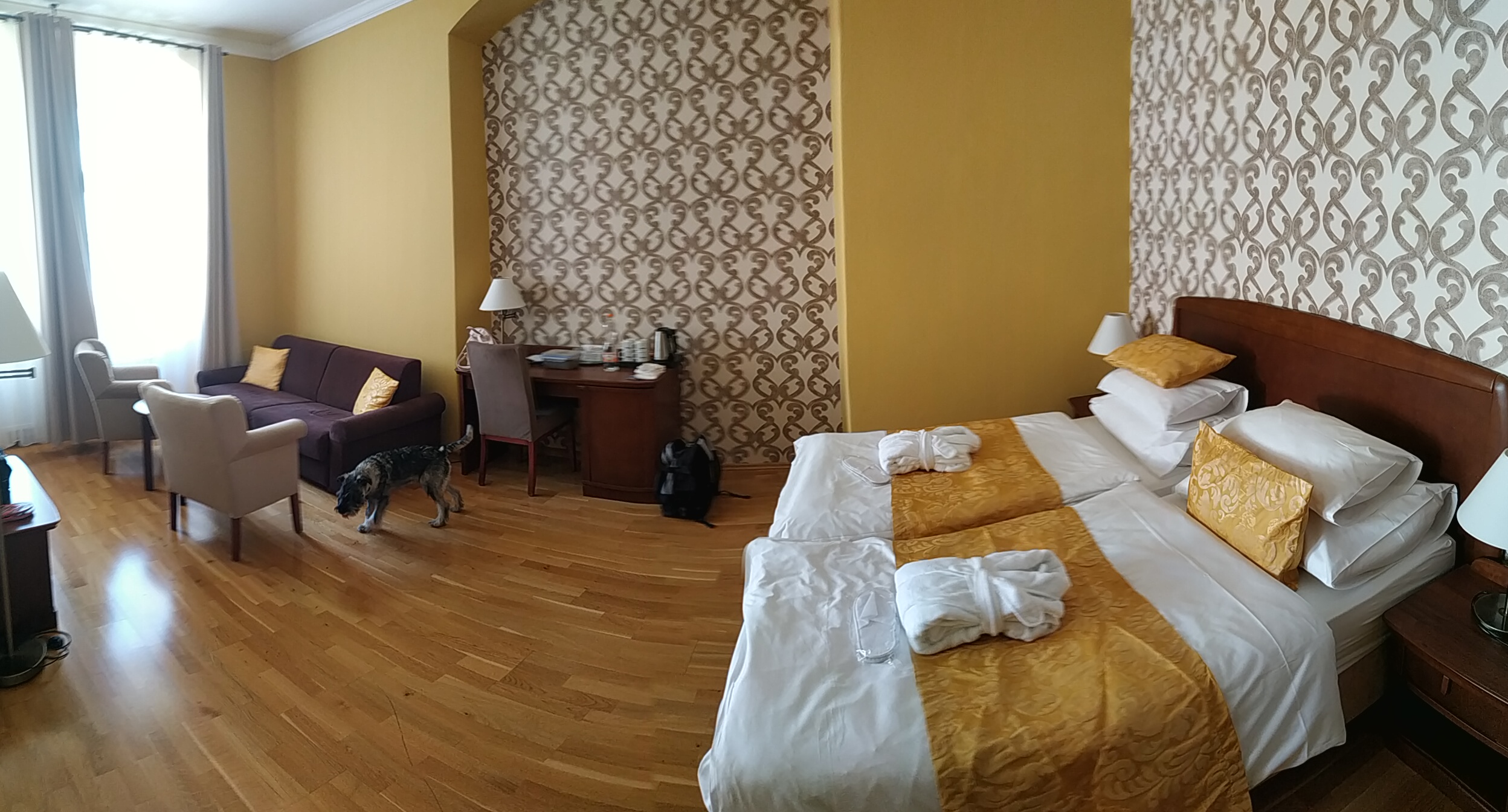 Wellness Hotel Alexander foto 5