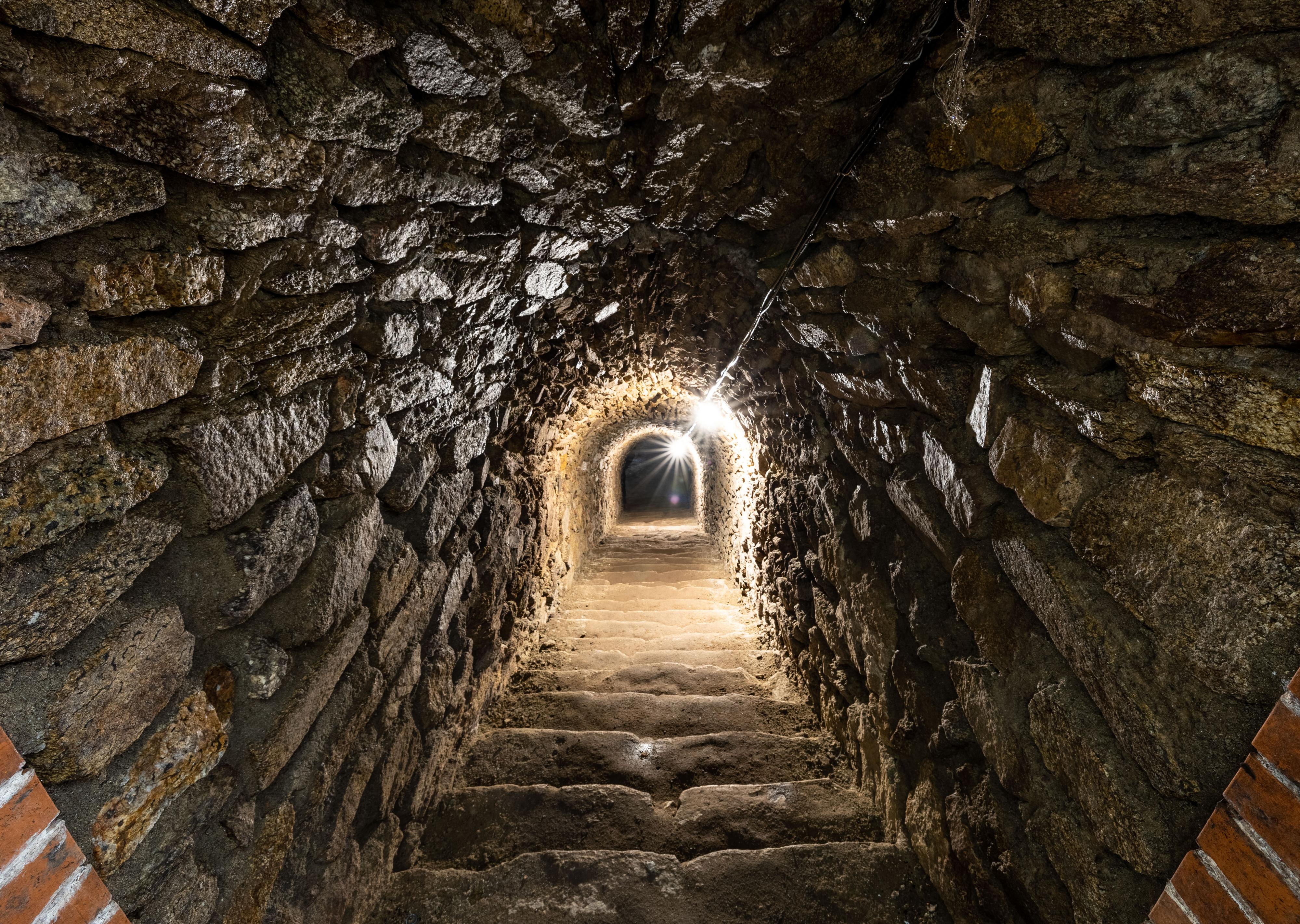 Vinařství Fratres foto 4