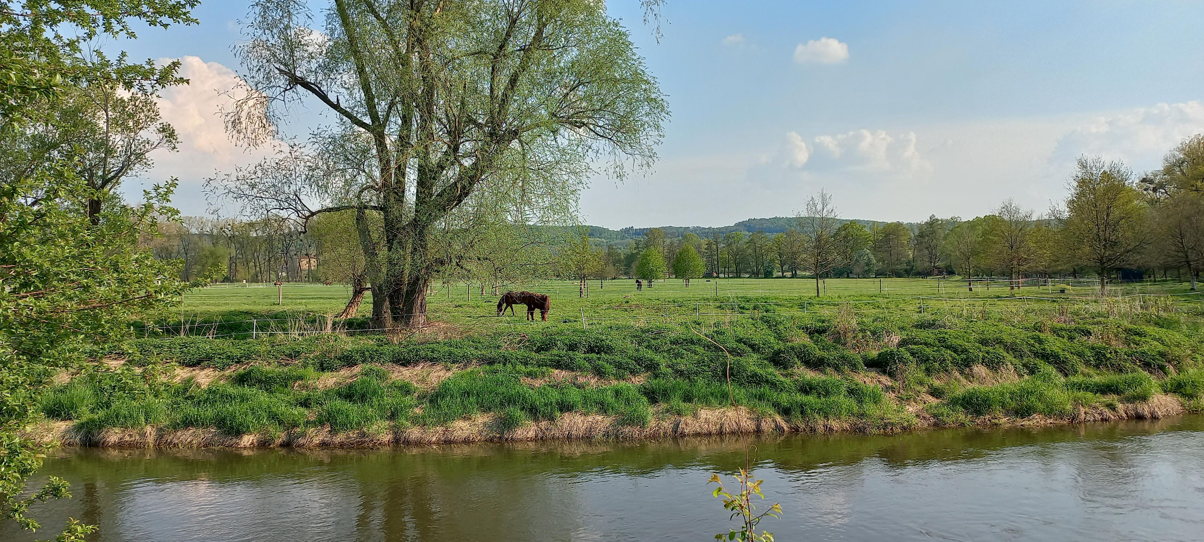 NESTÁDO - ZÁŽITKY S KOŇMI A PONÍKY foto 5