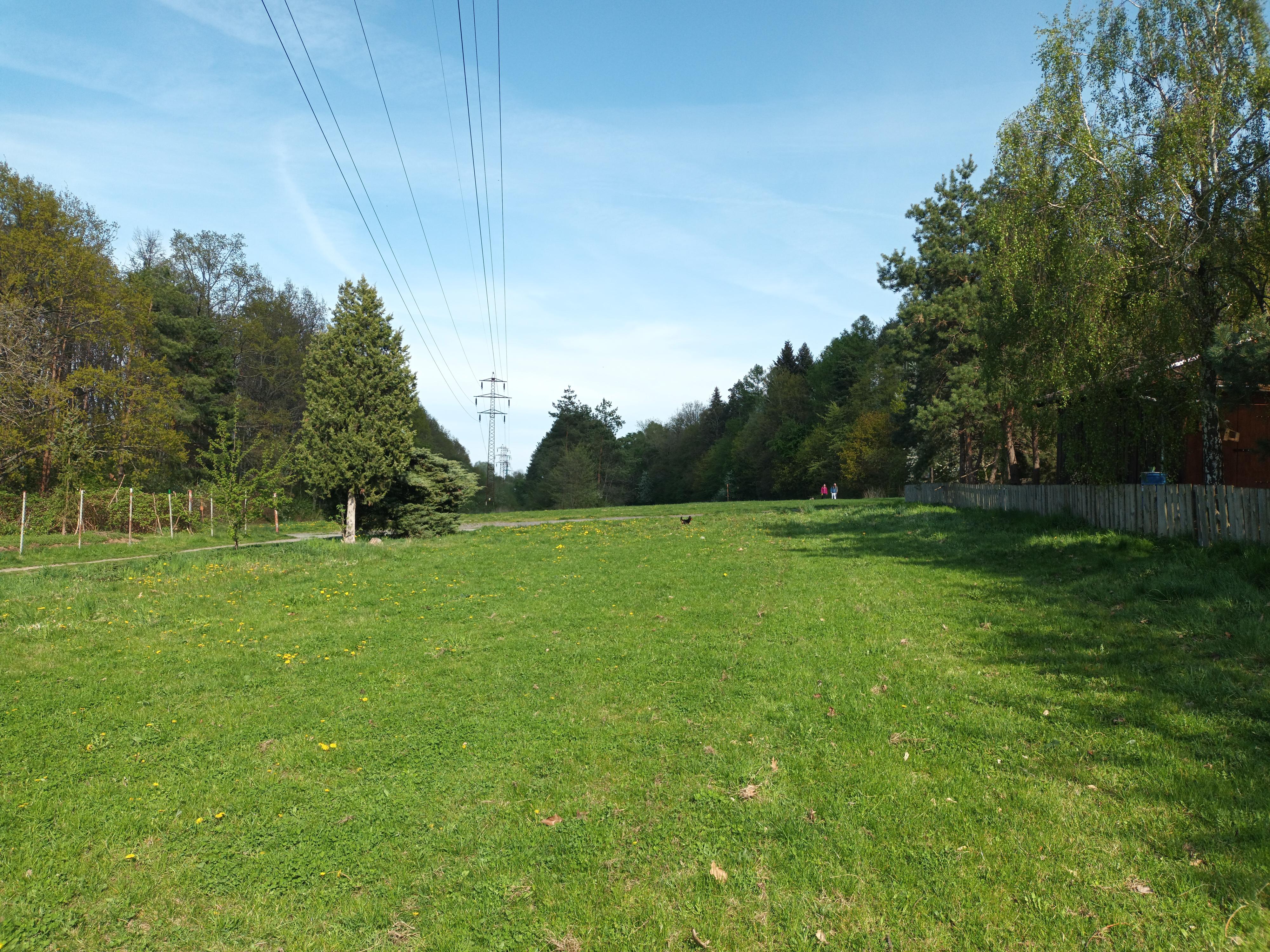 Lesní mateřská škola DO LESA! z.s foto 5