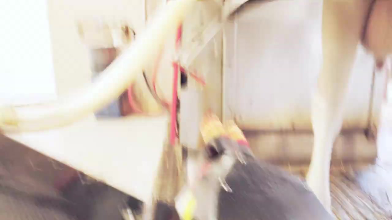 Zemědělské družstvo Sloupnice - minimlékárna foto 2 (náhled videa)