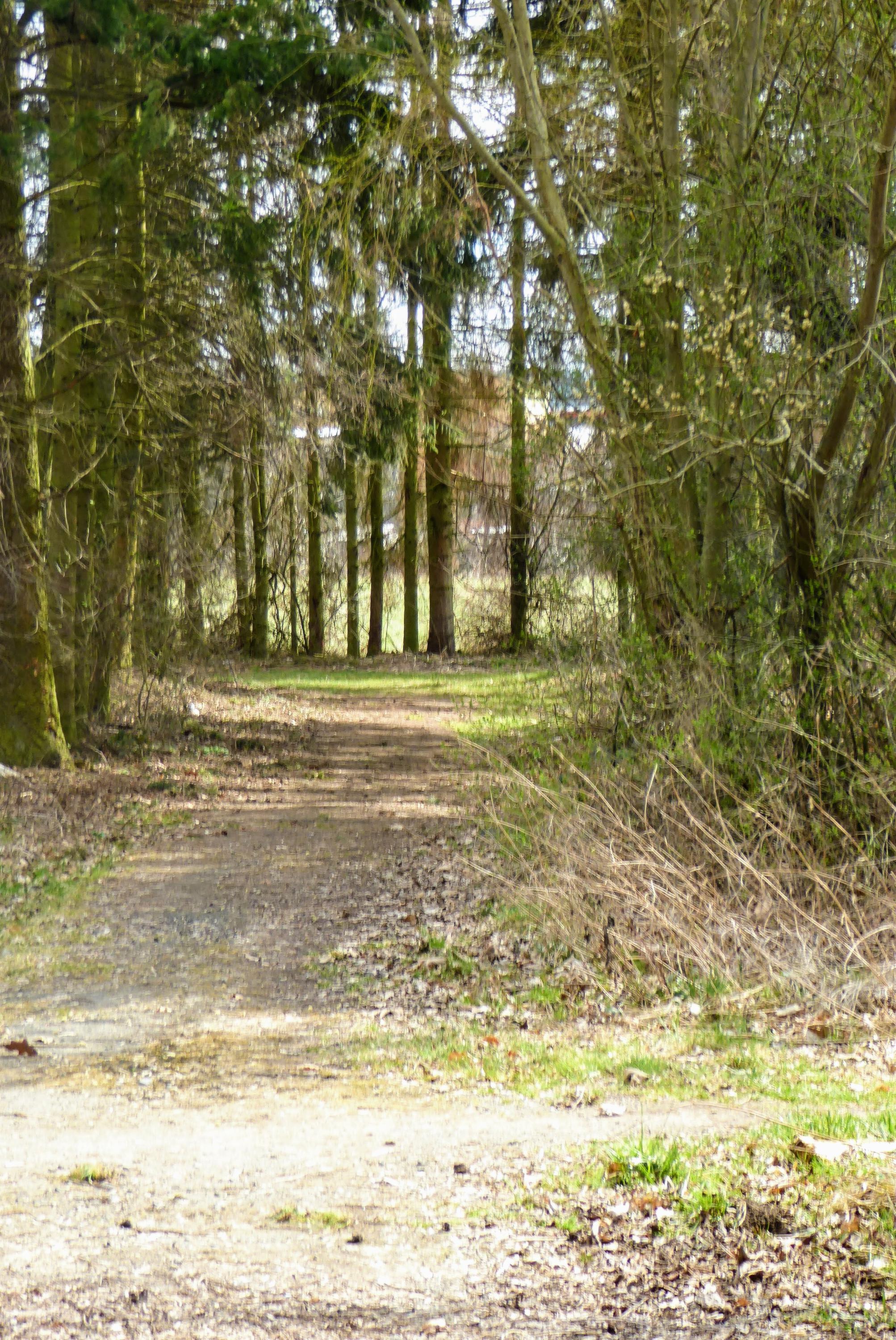 Stodská nemocnice - Nemocnice Plzeňského kraje foto 6