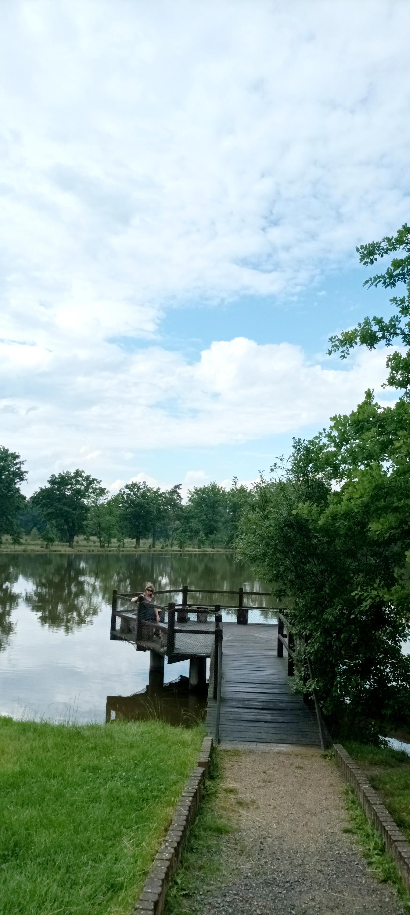 Restaurace Pergola u Sv.Víta foto 6