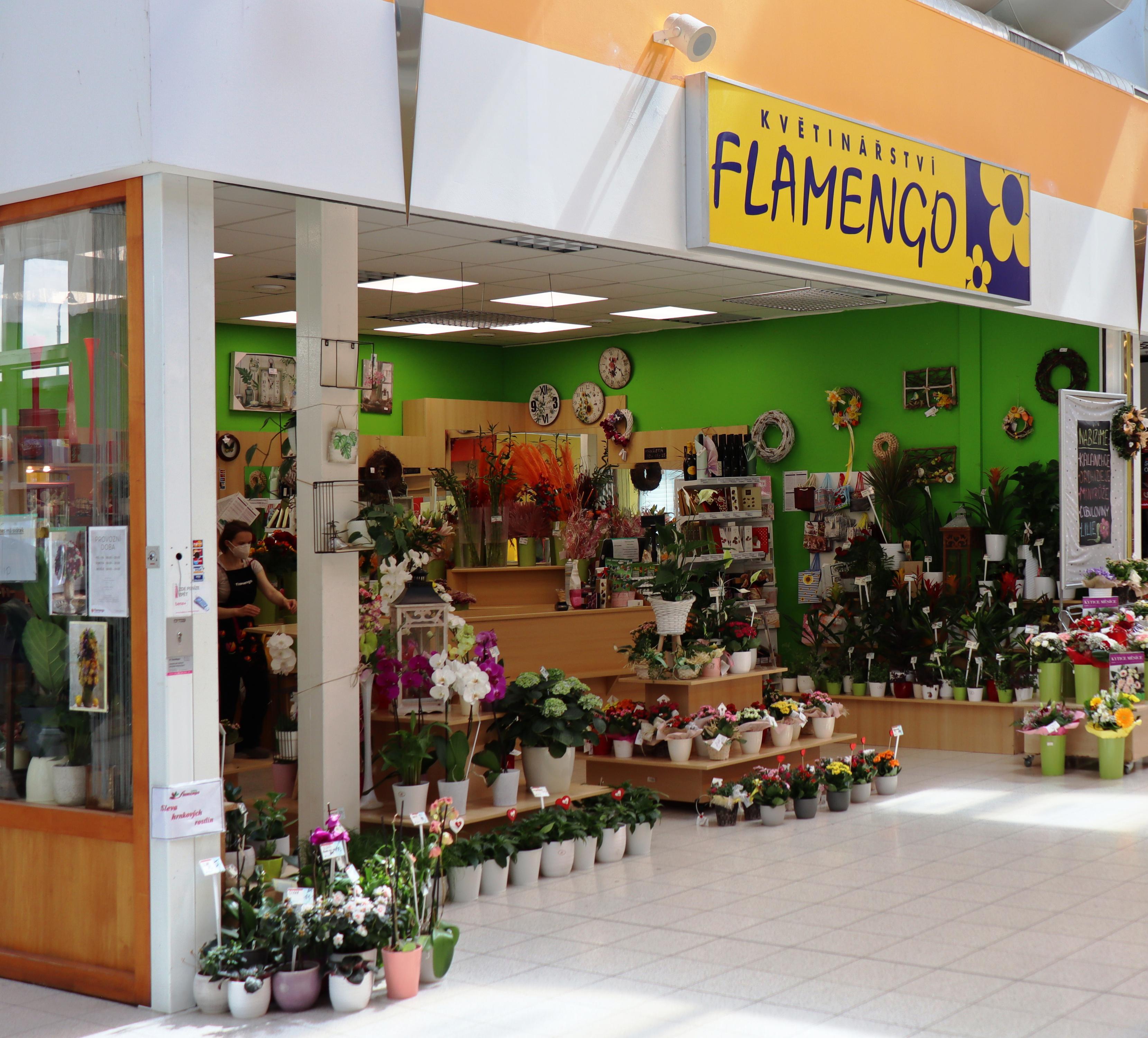 Flamengo květiny foto 2