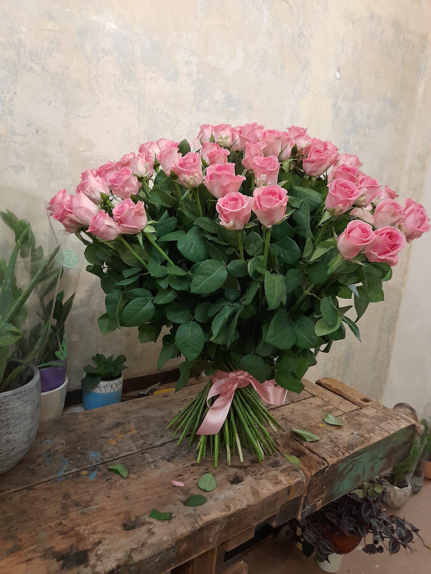 Květiny Jiřák foto 4