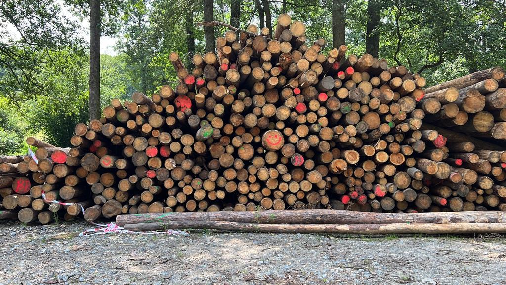 BB development foto 2