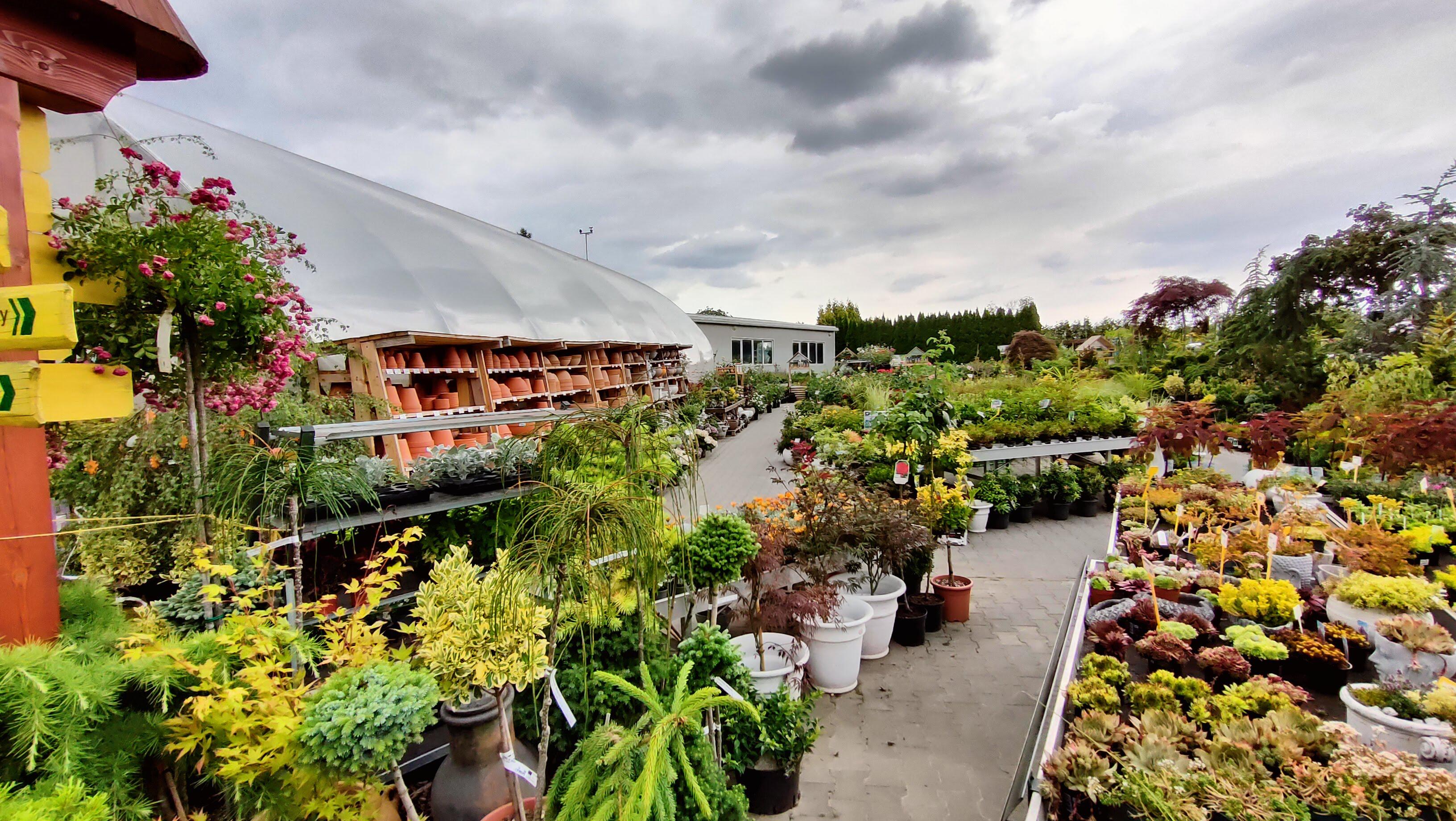 Zahradnictví Novák Hlučín s.r.o. foto 4